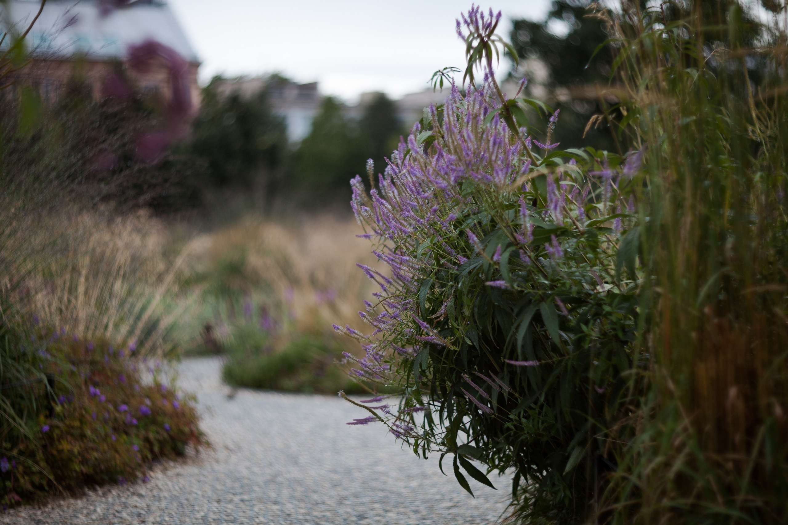 Новая Голландия — объект культурного наследия народов РФ федерального значения. Туманов Виталий — фотограф Москва