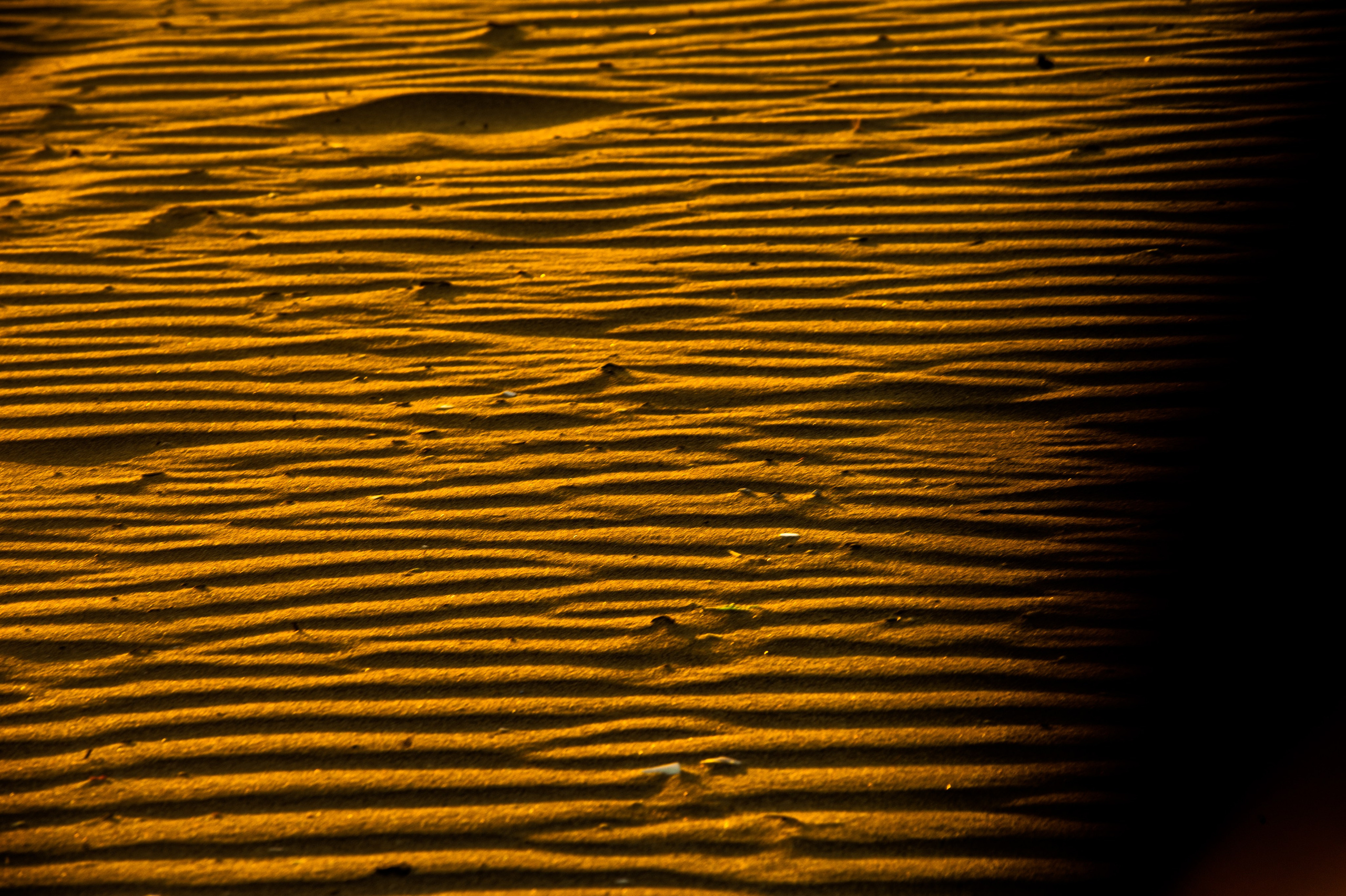 Vibe. Фотограф Милена Яновска