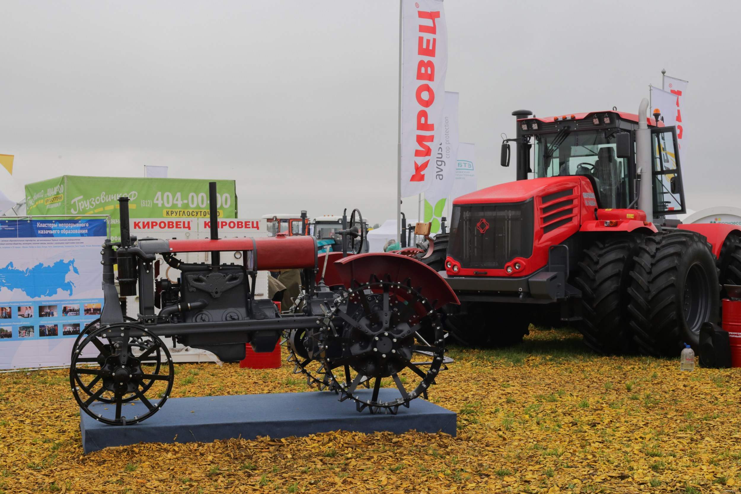 Репортаж — День поля 2019. Свадебный и семейный фотограф в Санкт-Петербурге Макеева Наталья