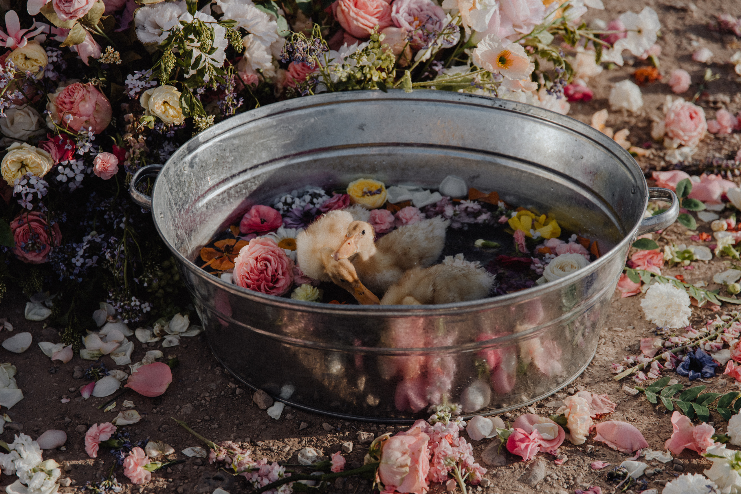 Flowers. Свадебный фотограф Анастасия Пальчикова