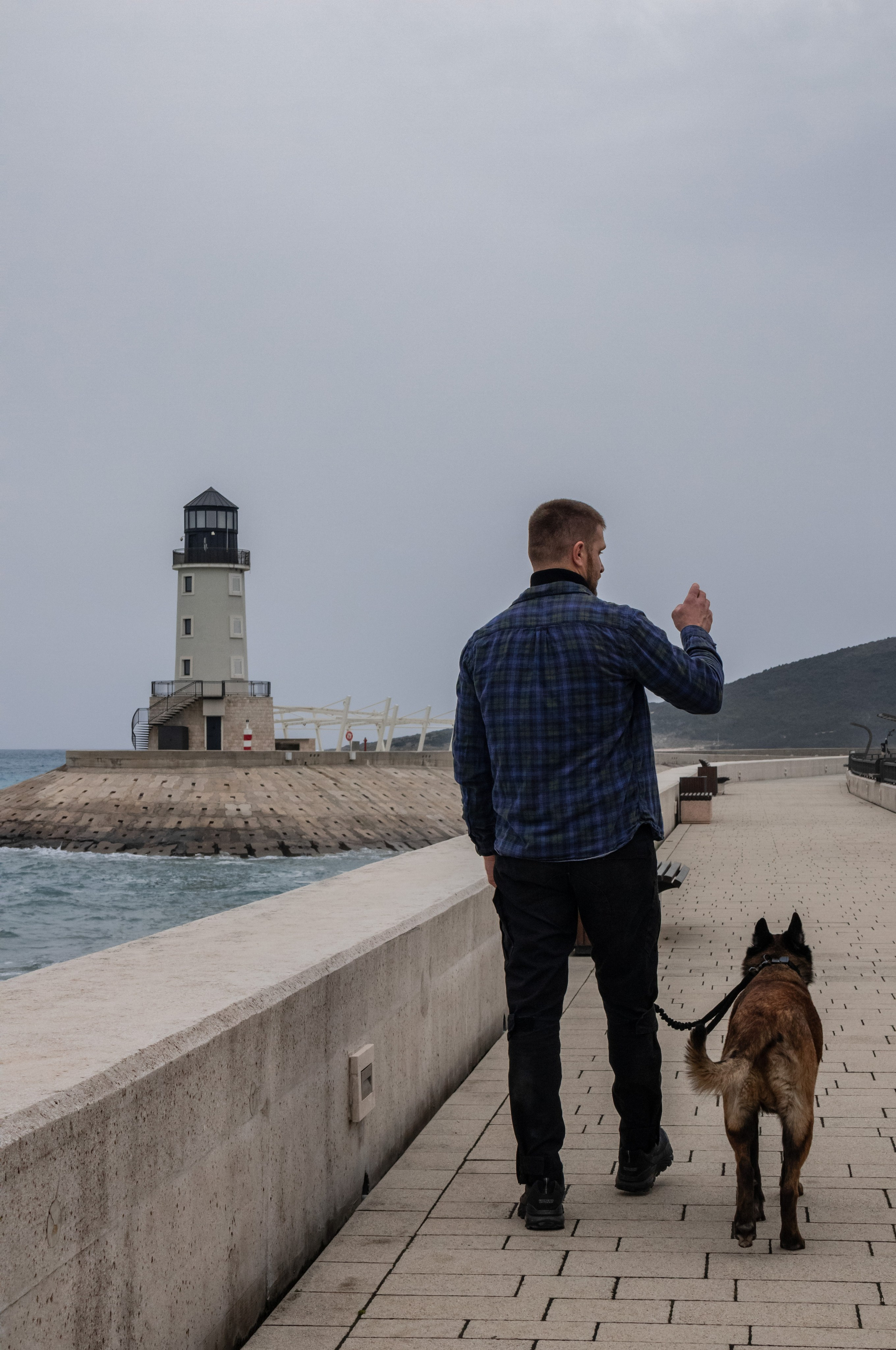 Photoshoot with a dog in Montenegro. Portrait photographer in Tivat Montenegro Katerina Kirsanova