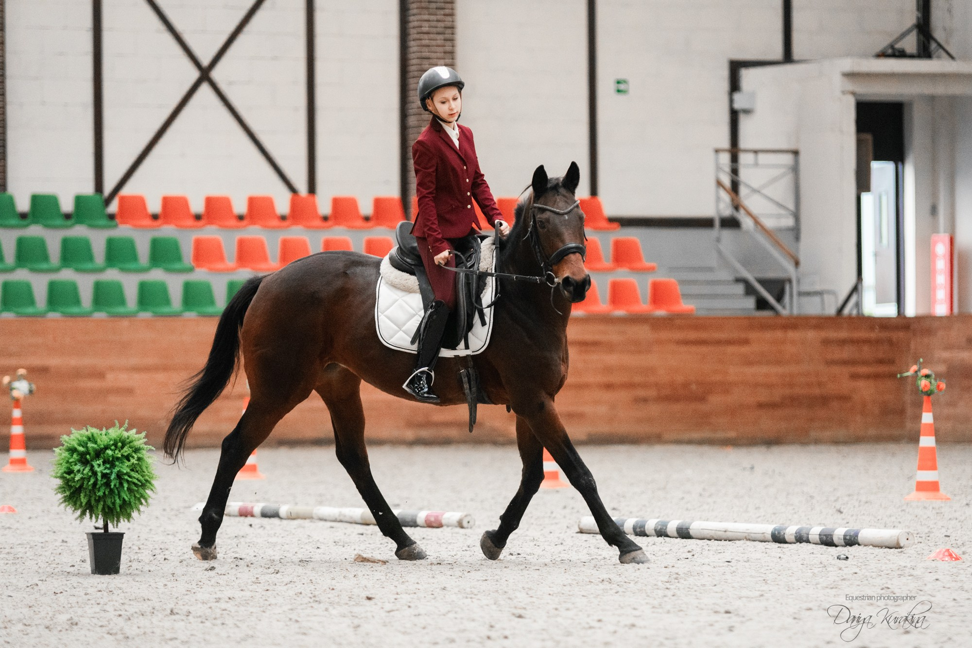 8-я международная выставка Конная Россия. Конный фотограф Куракина Дарья • Фотосессии с лошадьми