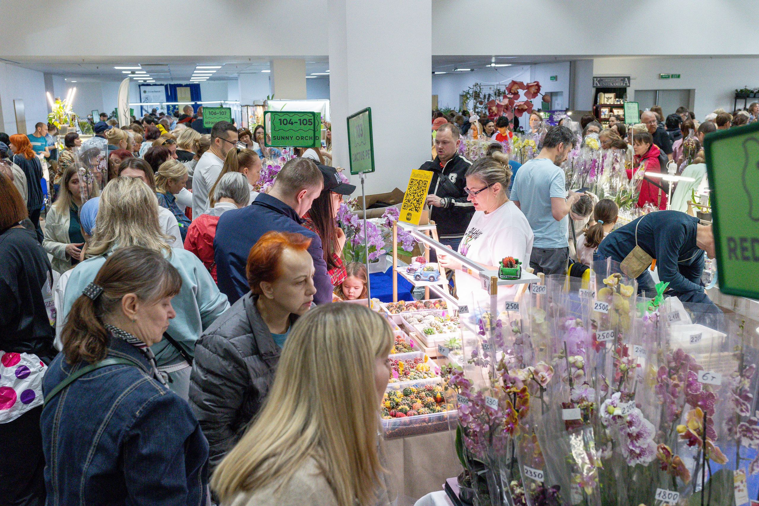 Орхидиум май 2025. Александра Куликова фотограф, Москва