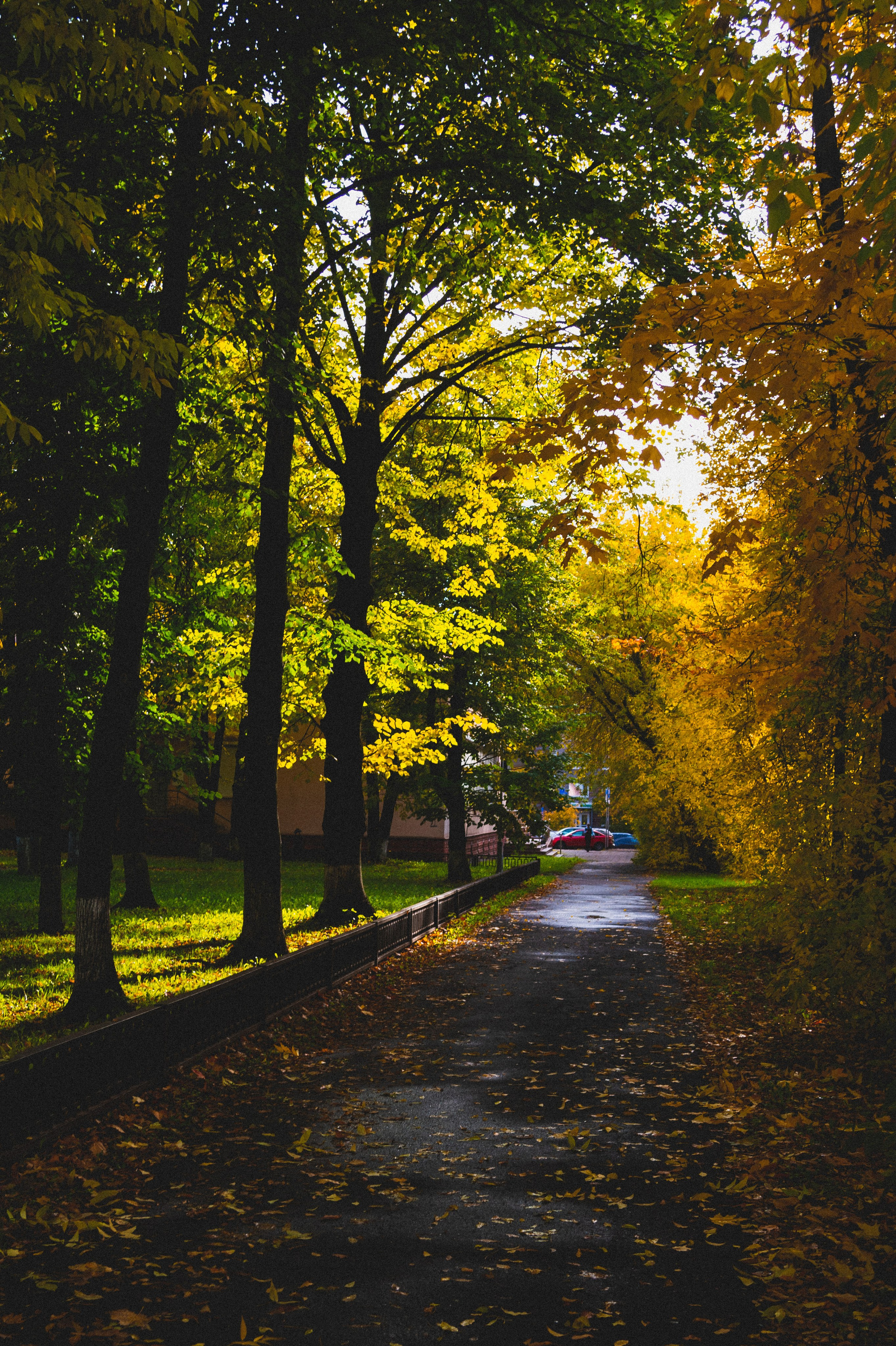 Октябрь 2025. Den Mirov — Фотограф, Музыкант