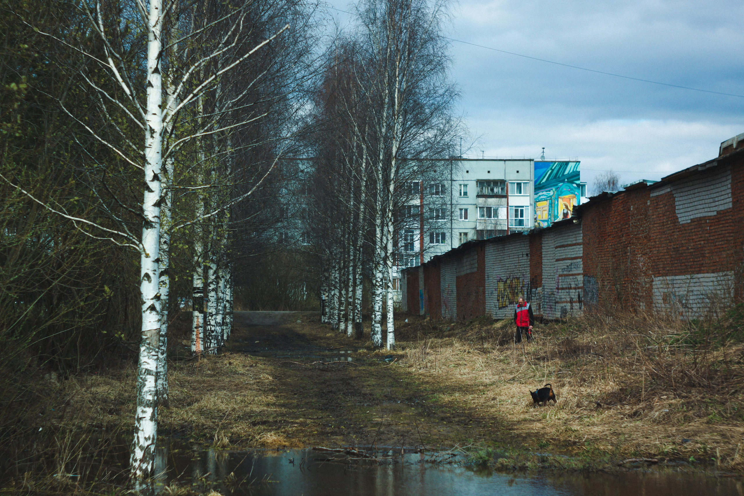 Градус смелости. Den Mirov — Фотограф, Музыкант