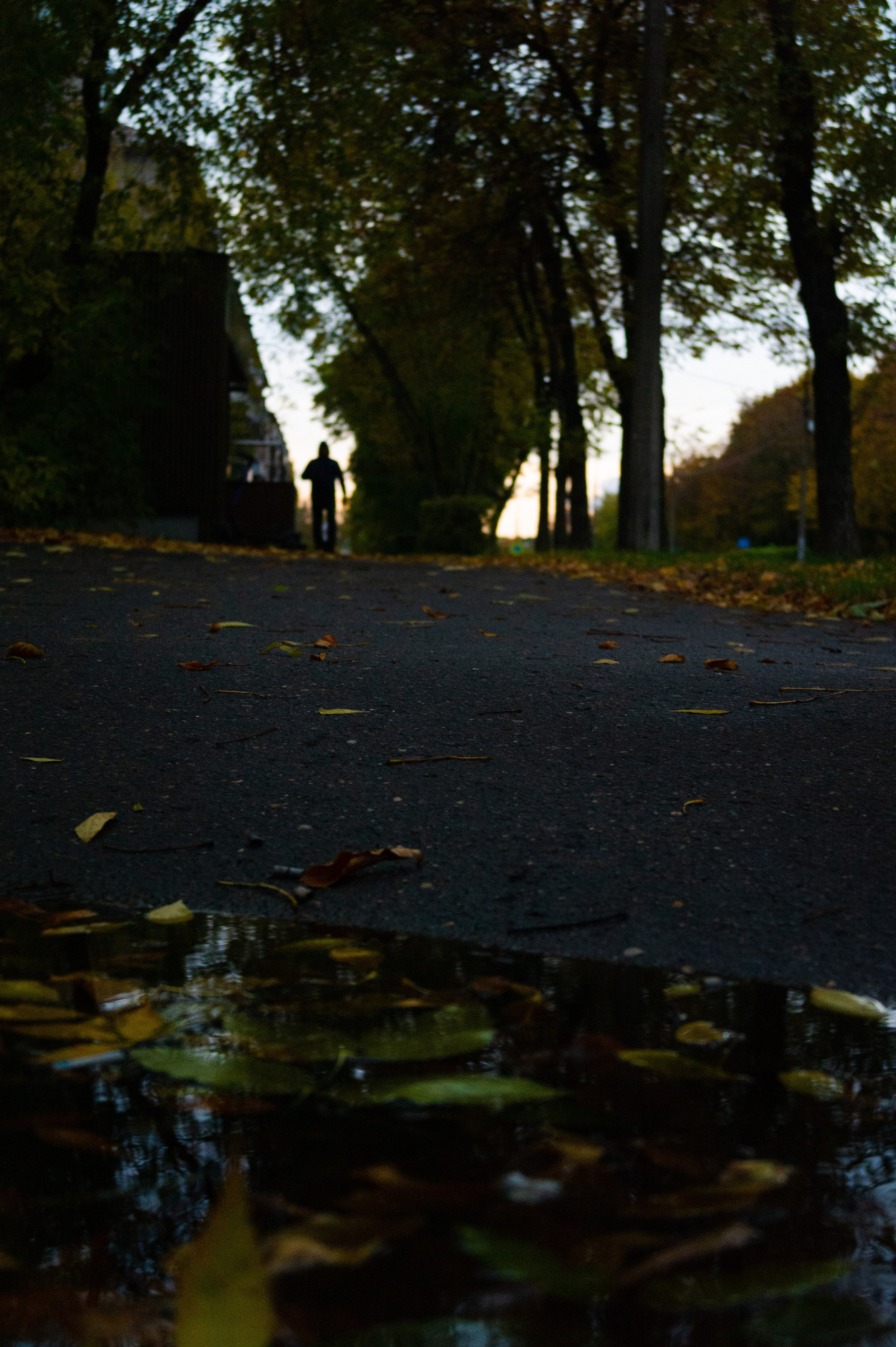 Октябрь 2025. Den Mirov — Фотограф, Музыкант