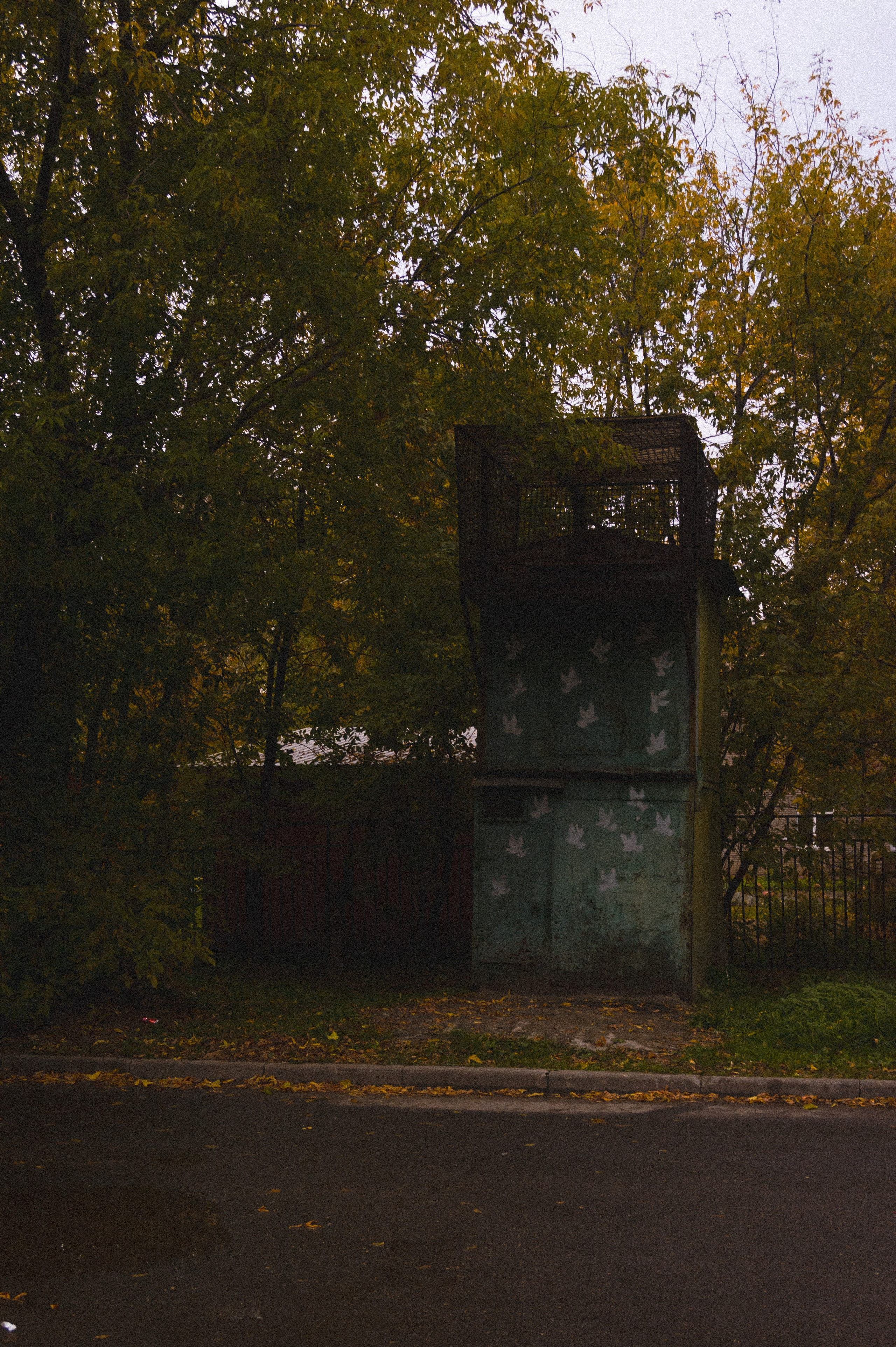 Октябрь 2025. Den Mirov — Фотограф, Музыкант