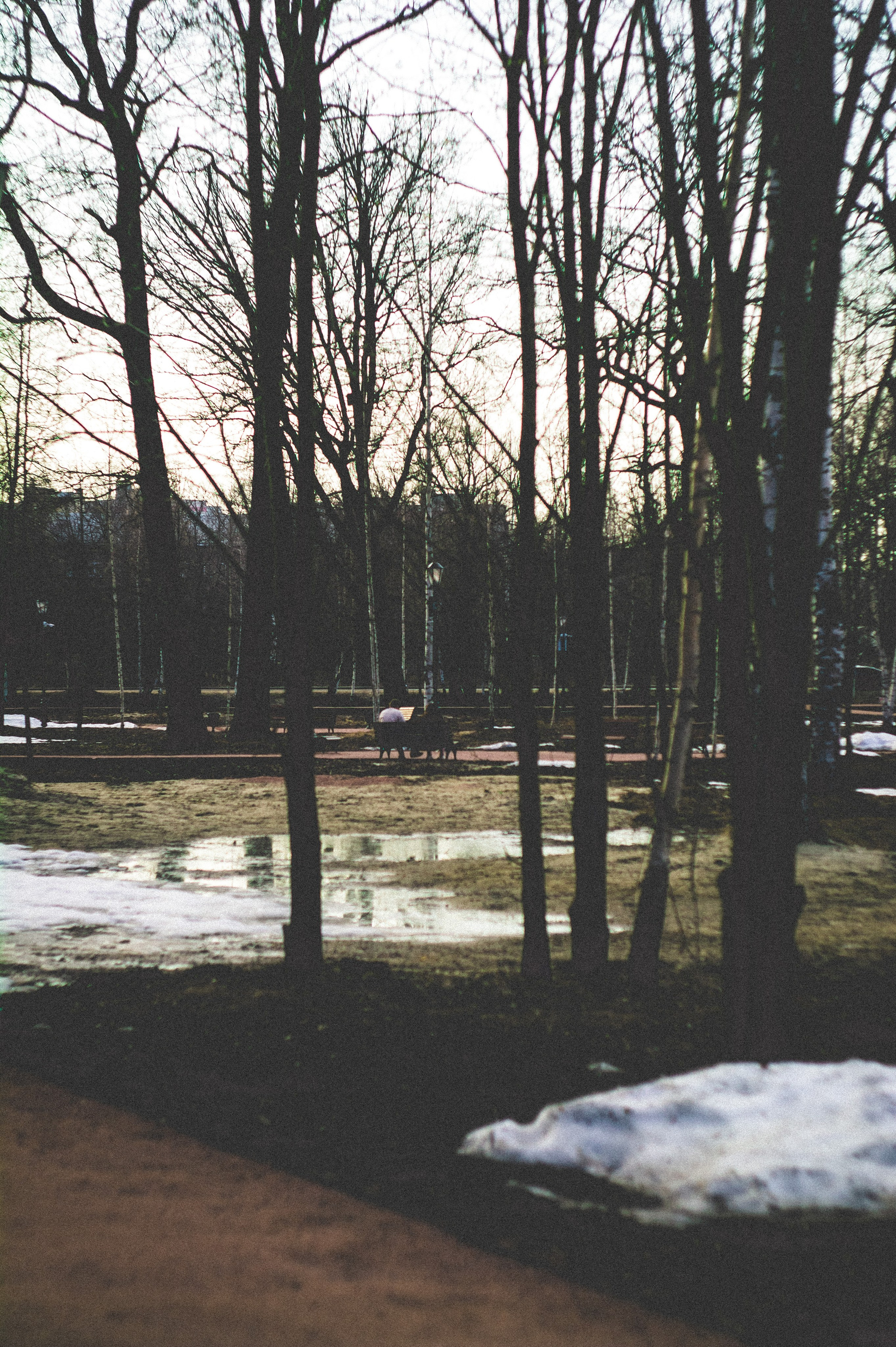 Kingdom. Den Mirov — Photographer, Musician