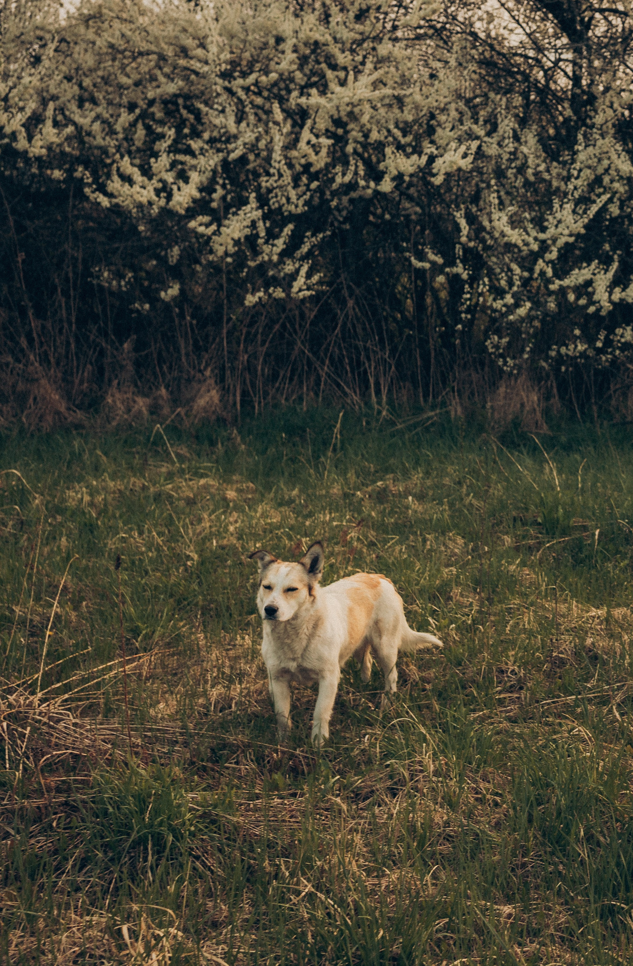 Мамино свадебное платье. Нежный фотограф о любви