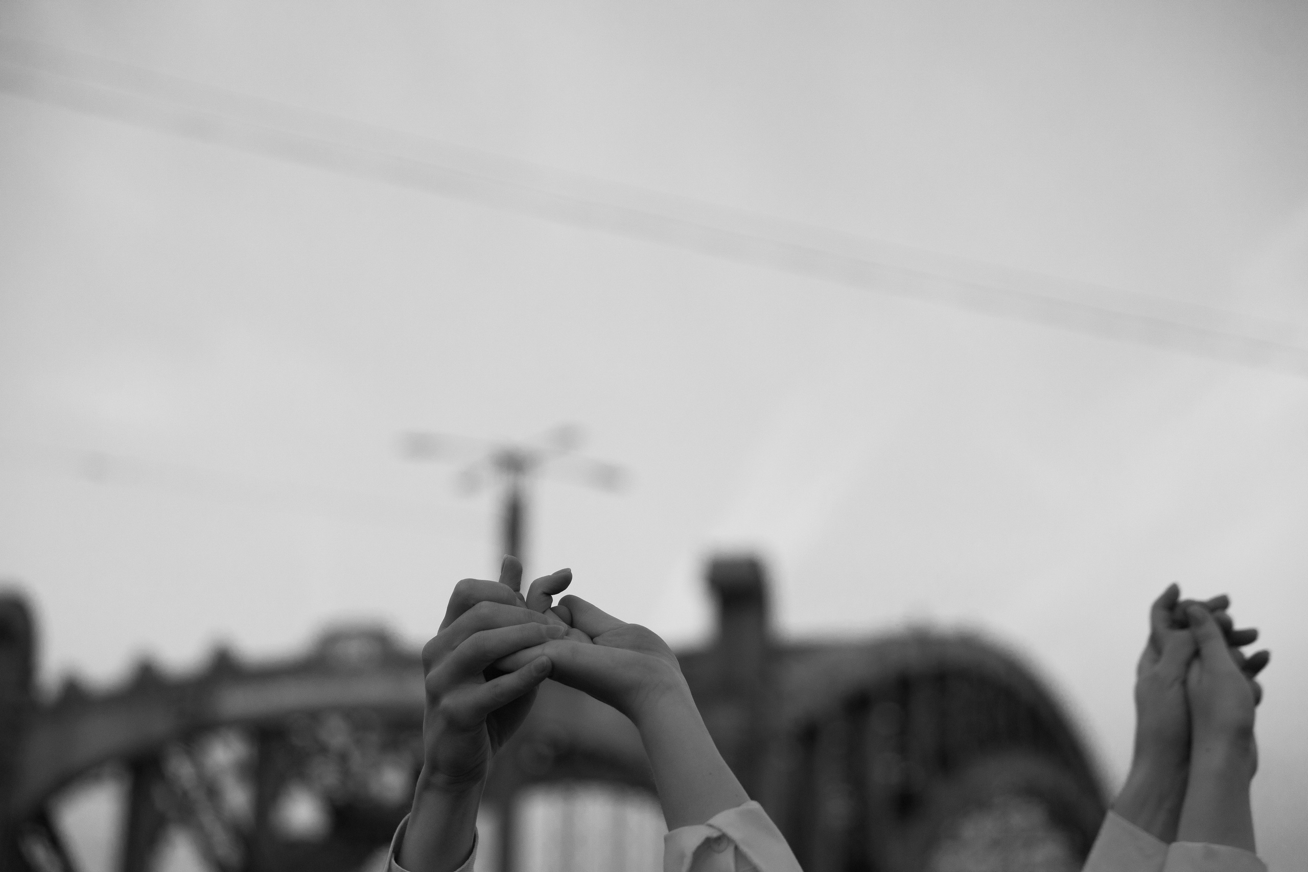 Свели мосты. Wed Photographers 📷 Saint Petersburg