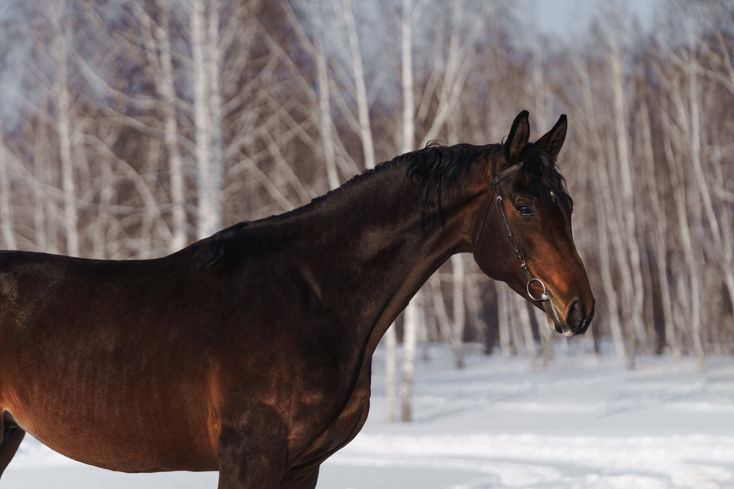 Хайпрайз С. Главная