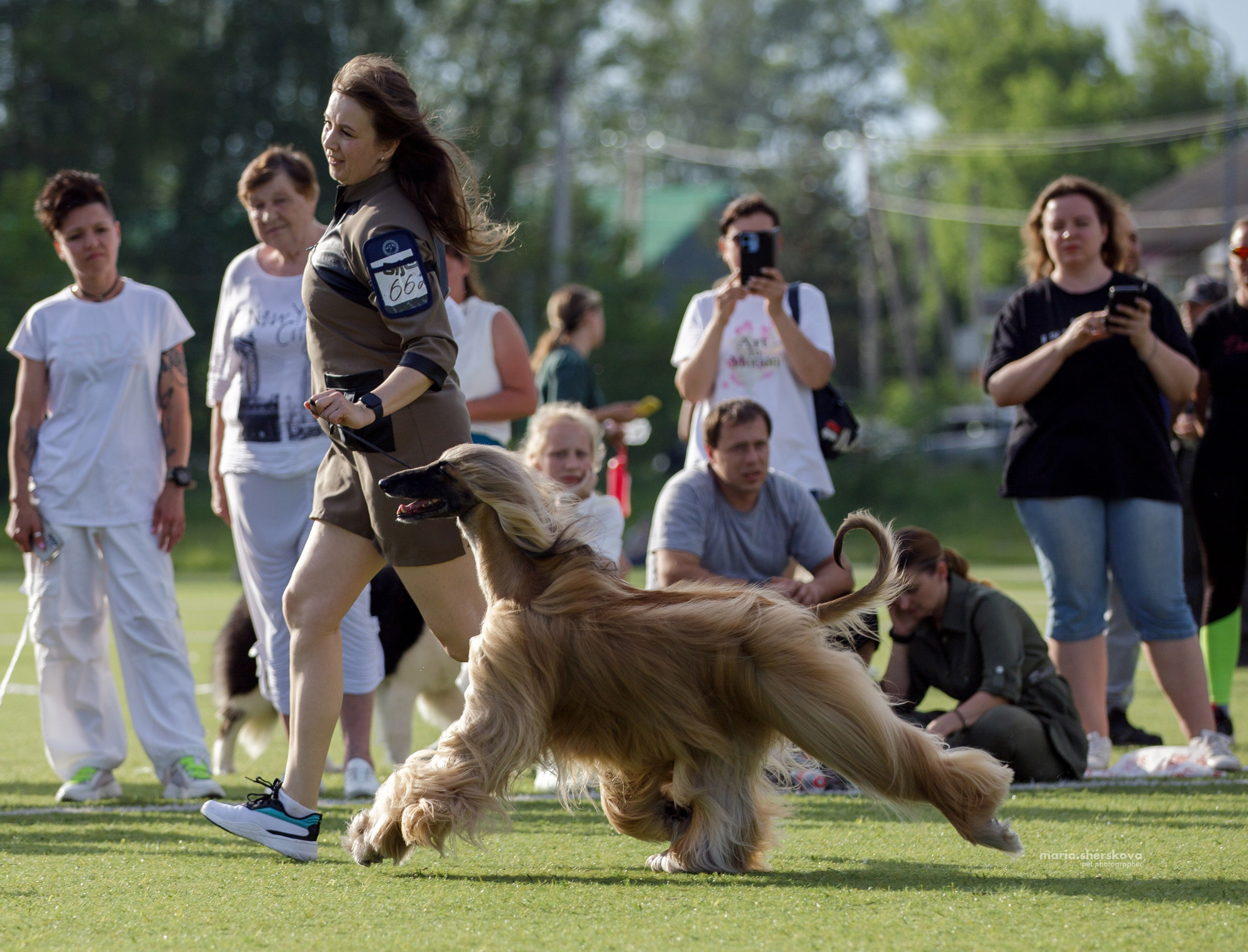 Выставки. Фотограф-анималист в Калуге Мария Шерскова
