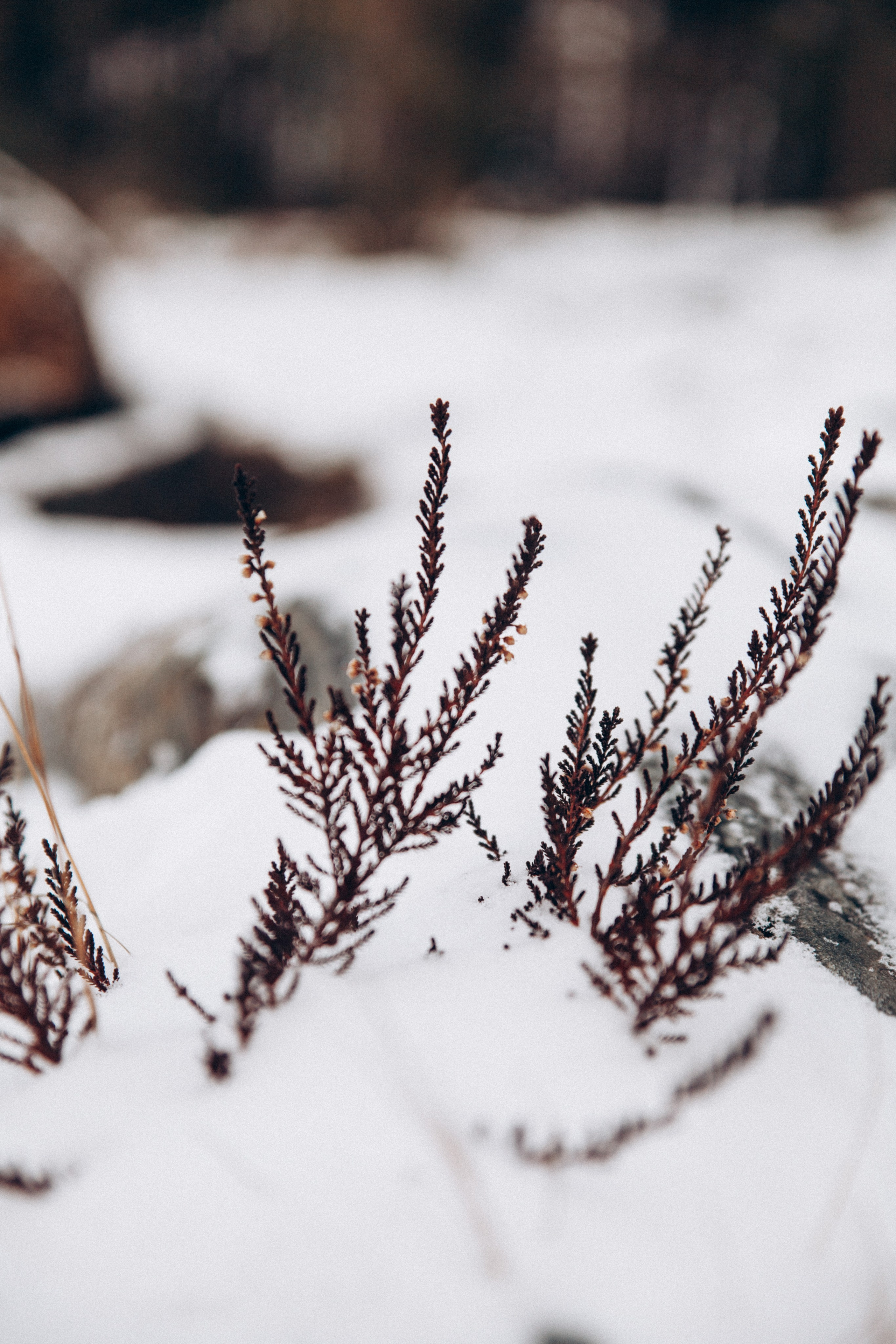 Териберка 2025. Репортажный и детский фотограф в Минске