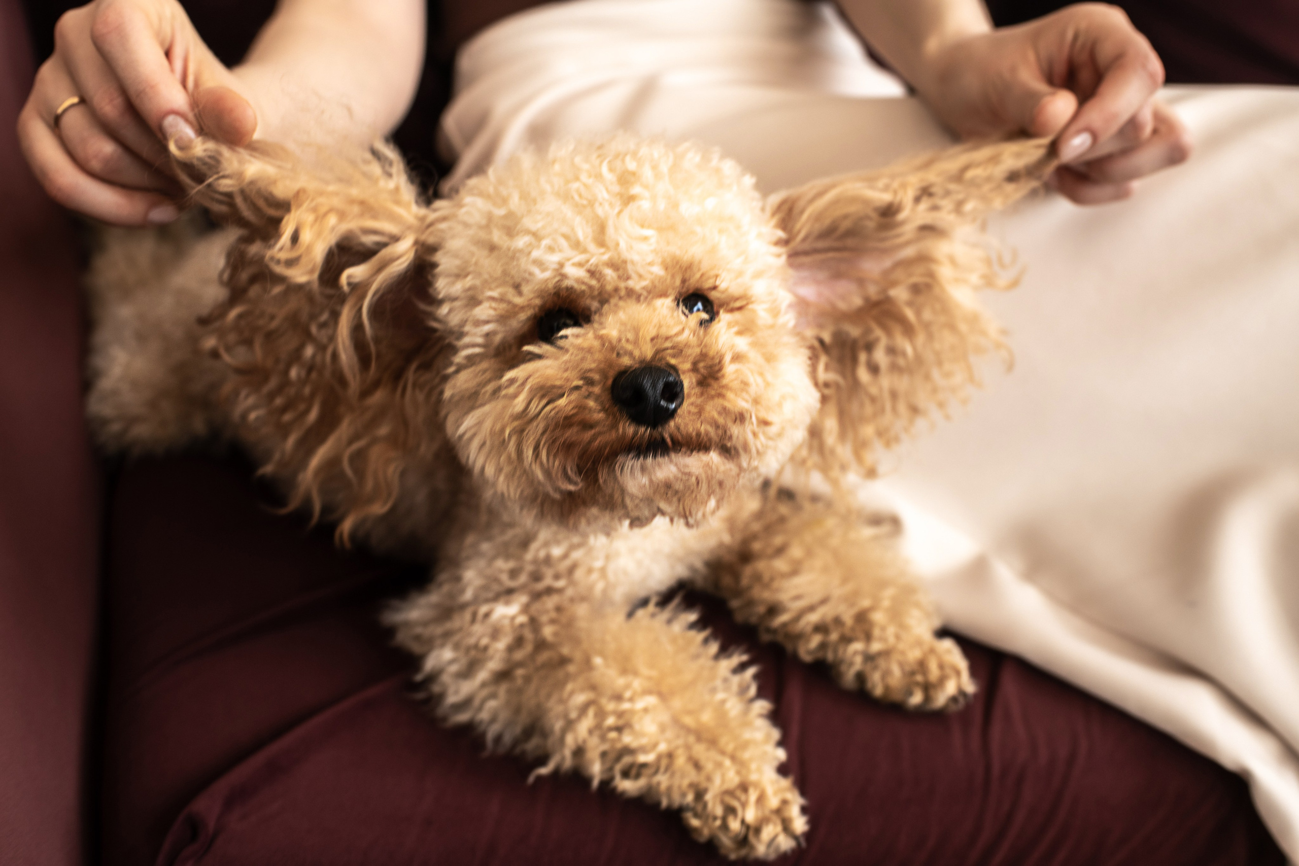 Александр, Елена, Александр, Евгения, Анастасия и Один. Женский, семейный и контент-фотограф в Оренбурге Анна Соловых
