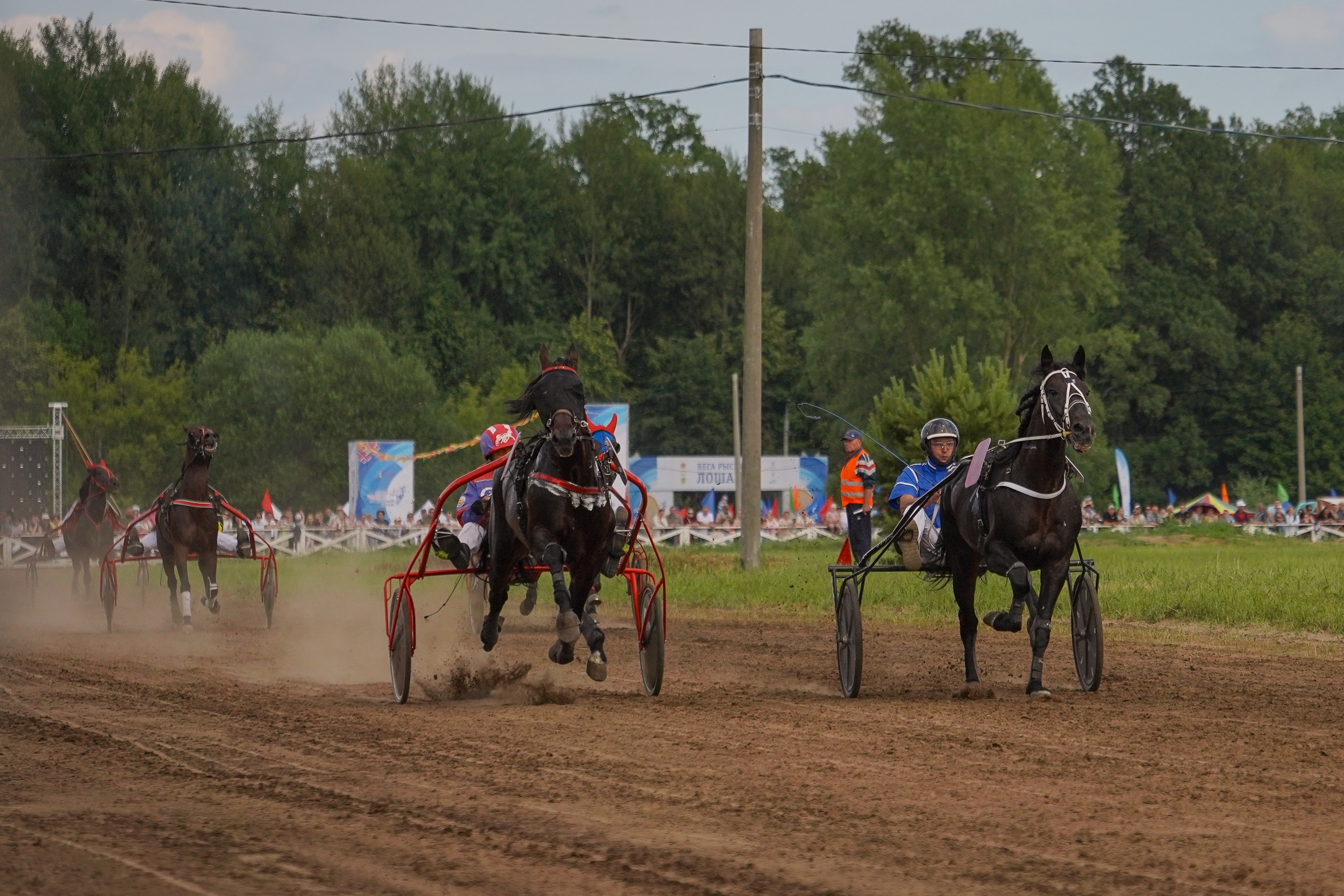 III конные бега на Кубок Главы Чувашии. Фотограф-анималист, портретный фотограф в Чебоксарах Мария Садыкова