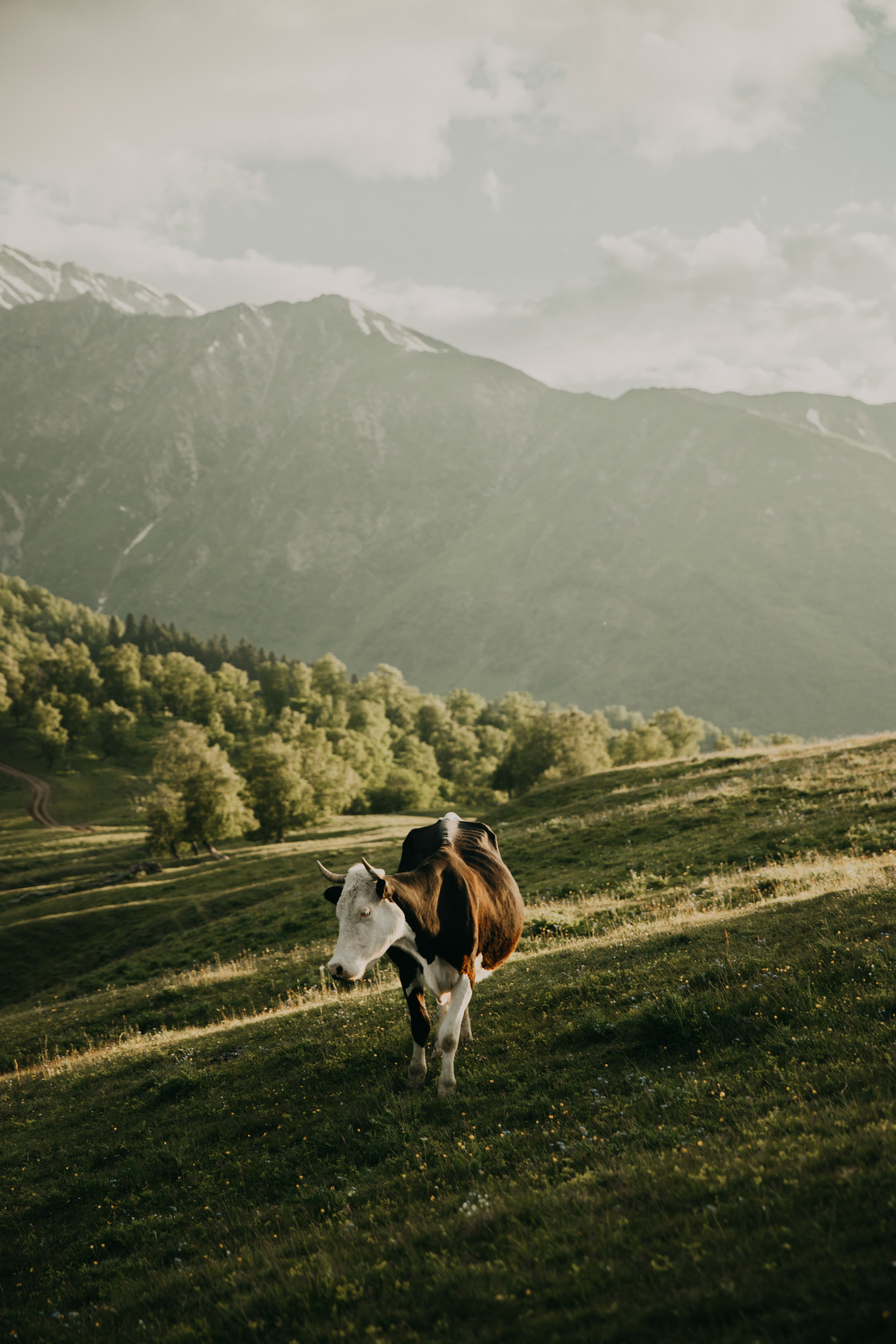 Дарья ღ Роман. Портфолио