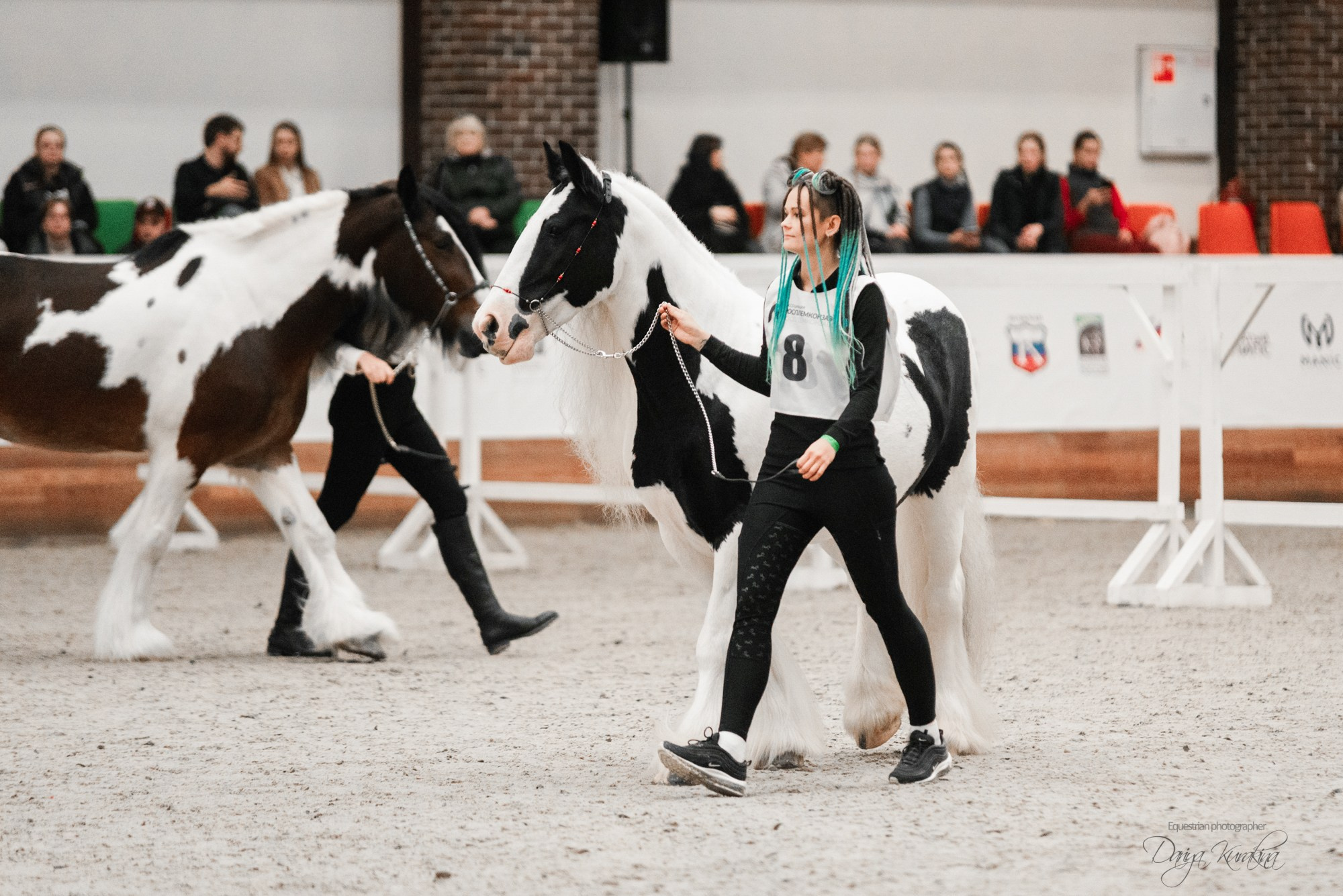 8-я международная выставка Конная Россия. Конный фотограф Куракина Дарья • Фотосессии с лошадьми