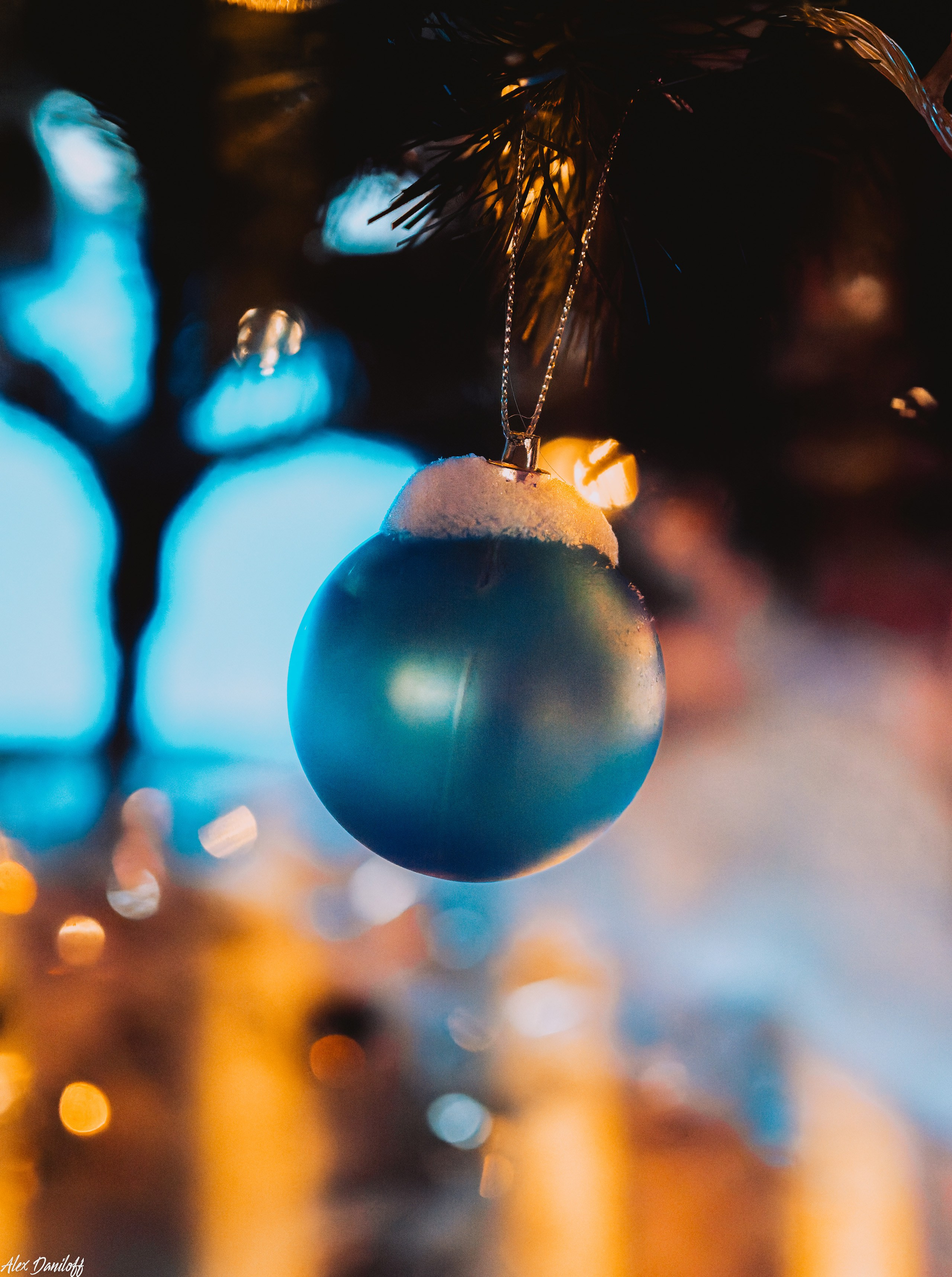 Елки 2025. Муром-Инфо. Новости культуры, образования, спорта в городе Муром