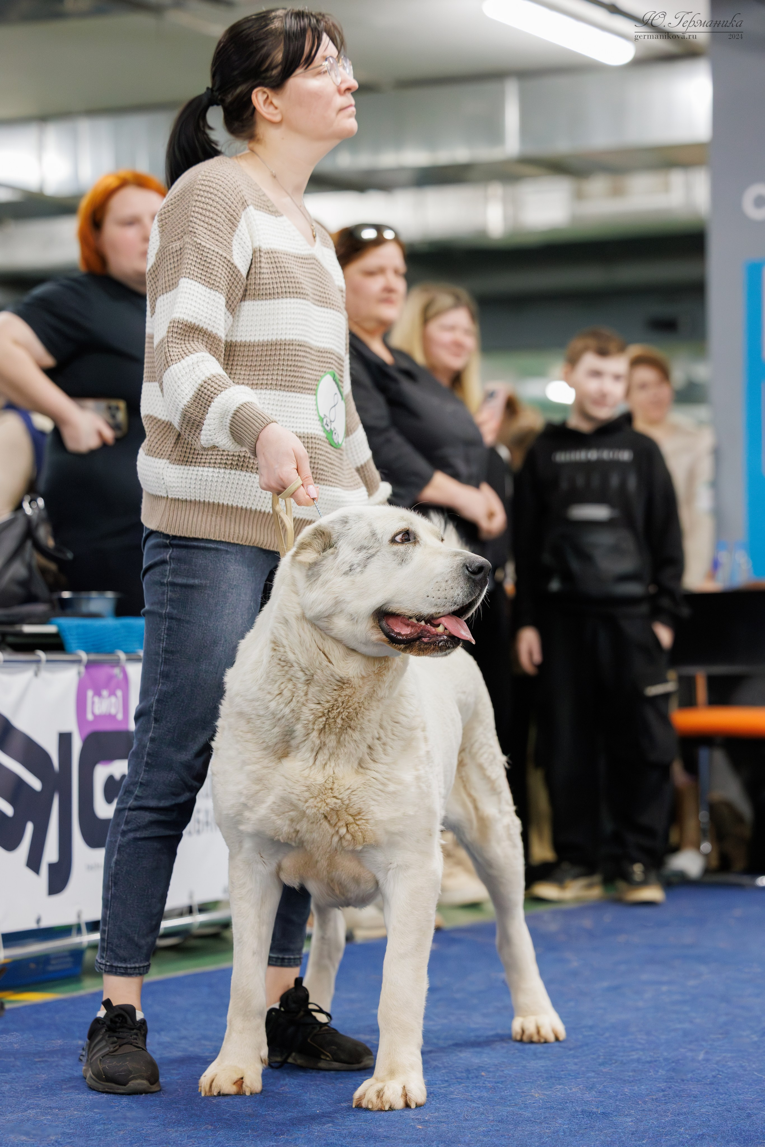 Сфера и Крокус 8,9,16 и 30.03.2025. Фотограф-анималист Юлия Германика