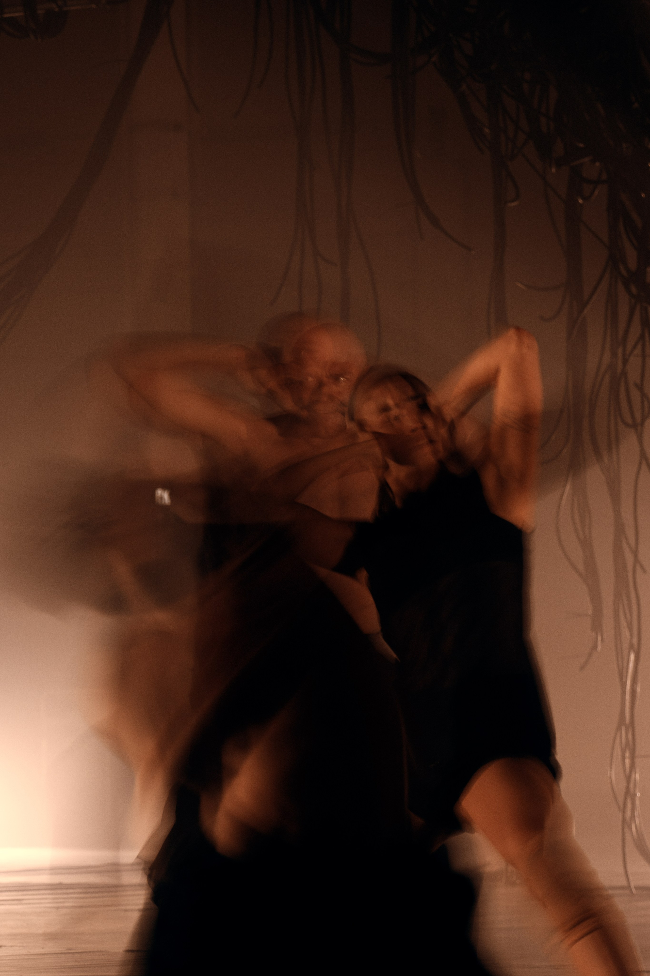 PERFORMA, The Hour of the Horse. @tomrus: Рустам Шагиморданов — фотограф