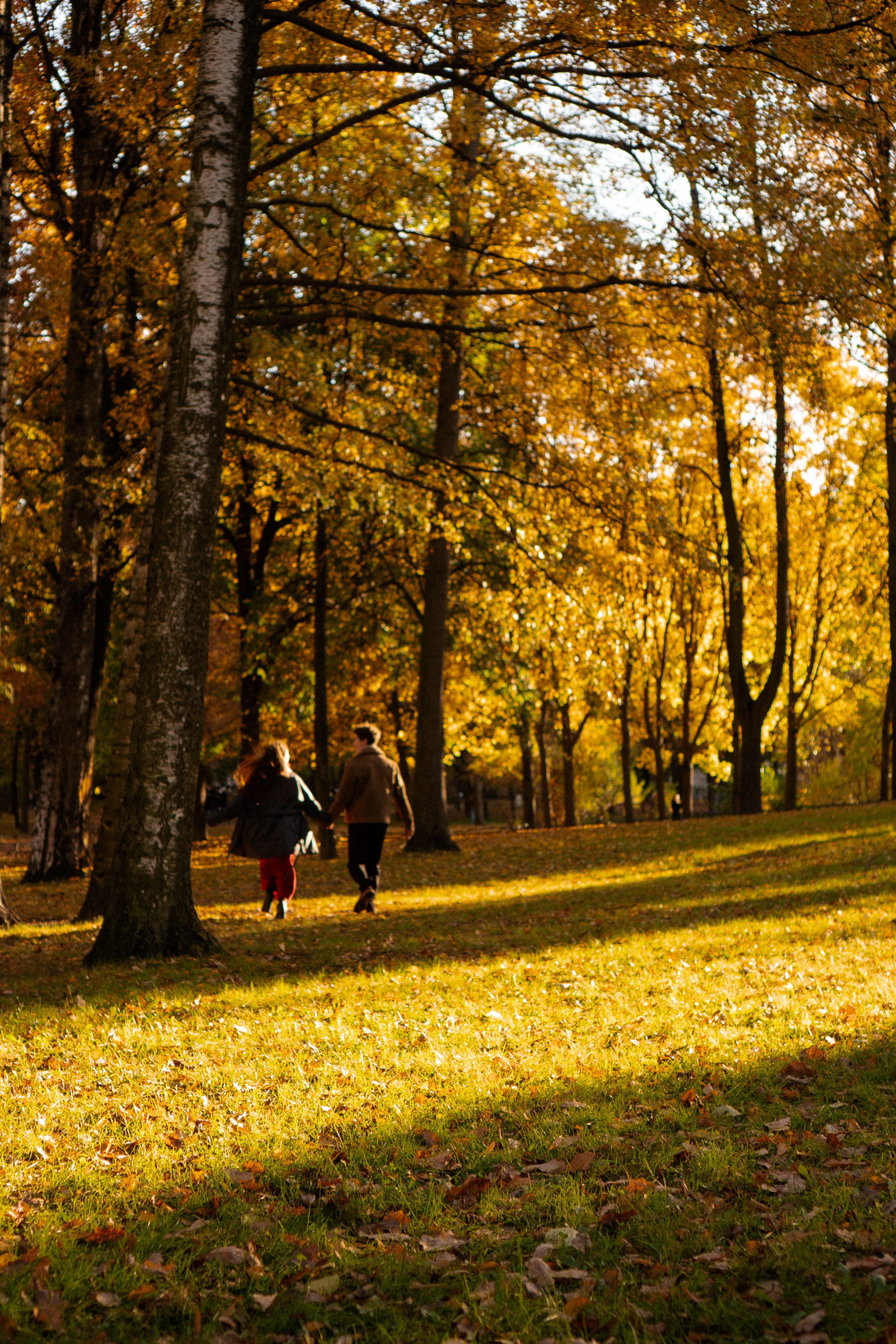 ОСЕННЯЯ ПРОГУЛКА. Профессиональный фотограф, Санкт-Петербург — Виктория Богомолова