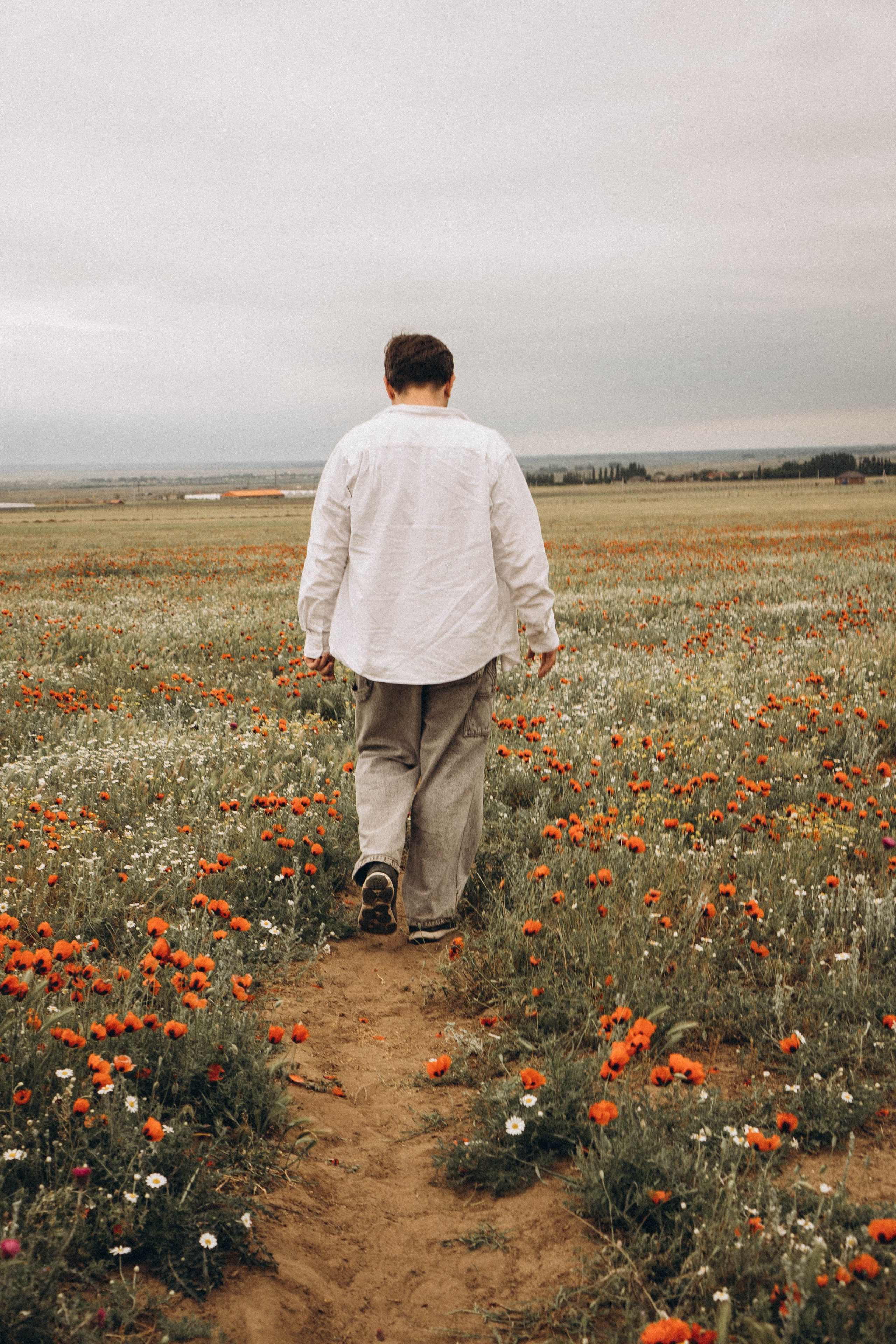 Маки. Профессиональный фотограф, Санкт-Петербург — Виктория Богомолова