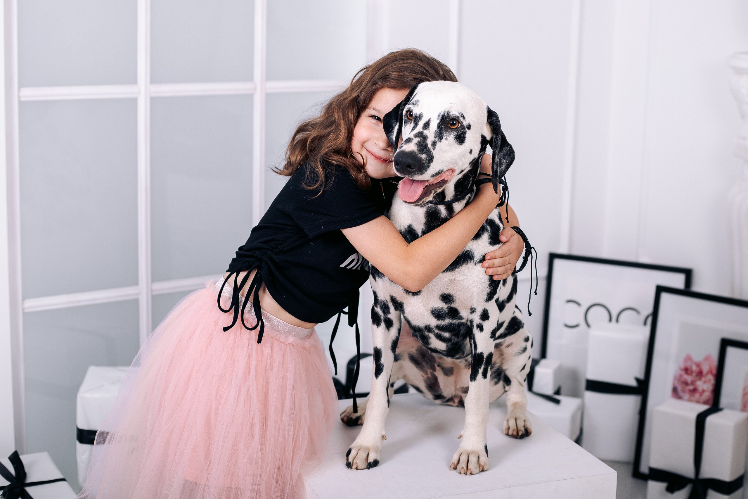 Фотосессия с далматинцами в фотостудии. Фотограф в Санкт-Петербурге, Анна Скворцова