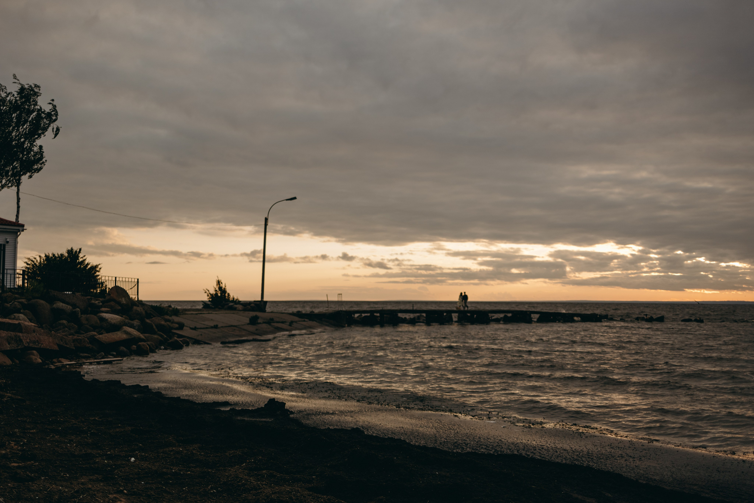 Лотти и ее семья. Фотограф — Анималист | Санкт-Петербург