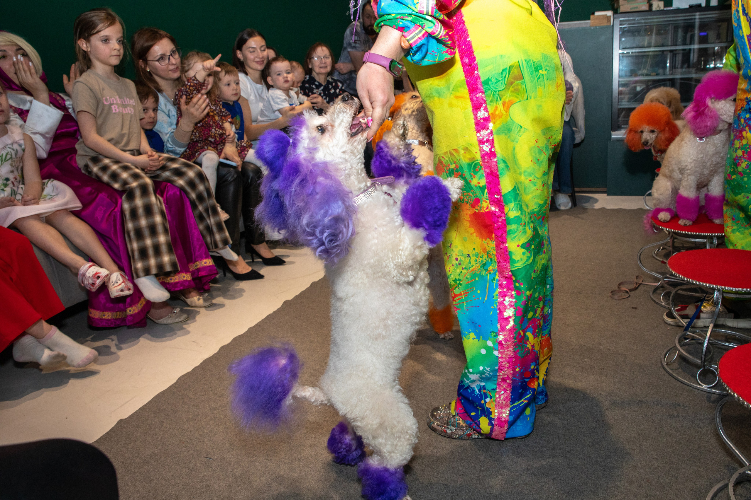 С Днем Рождения, Варвара!. Фотограф в Москве Яна Полосина