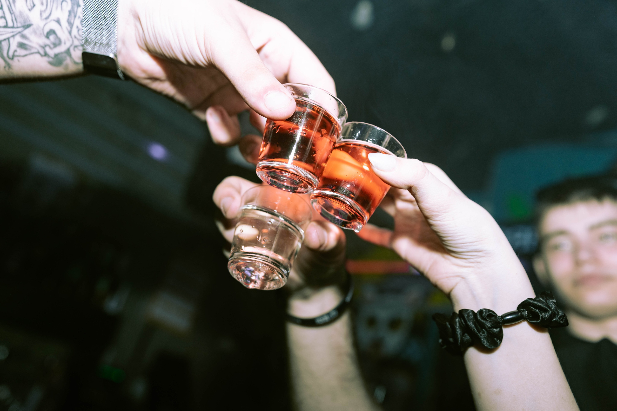 Mishka-bar 2. _Carpe diem_