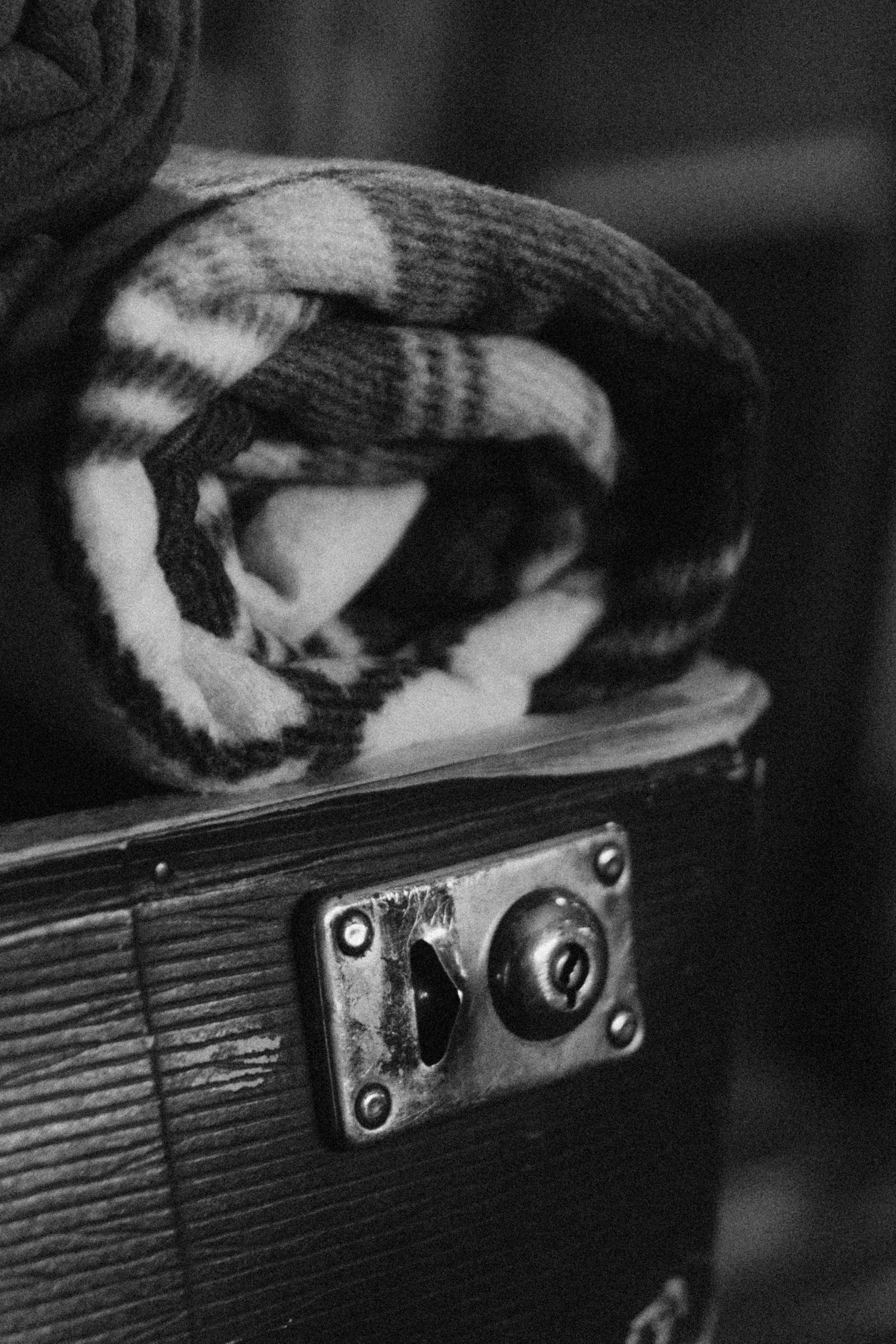 Конференция. LEVORIGINAL