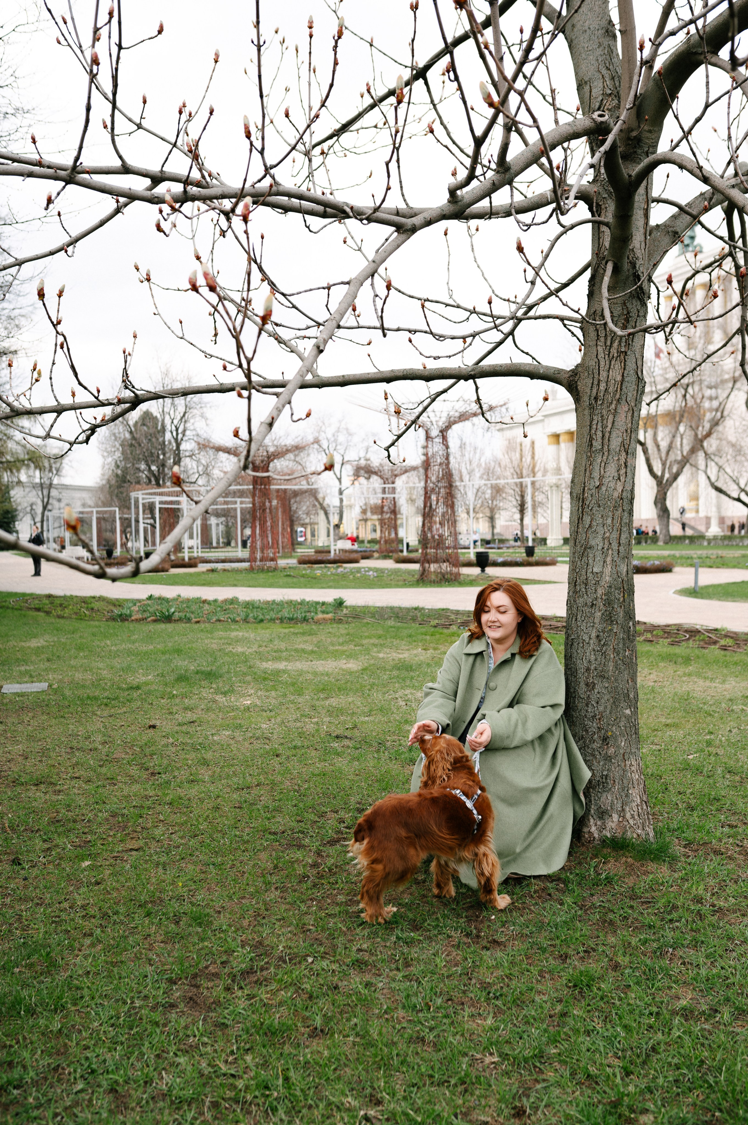 Рыжая команда. Фотограф анималист в Москве Ольга Агушева