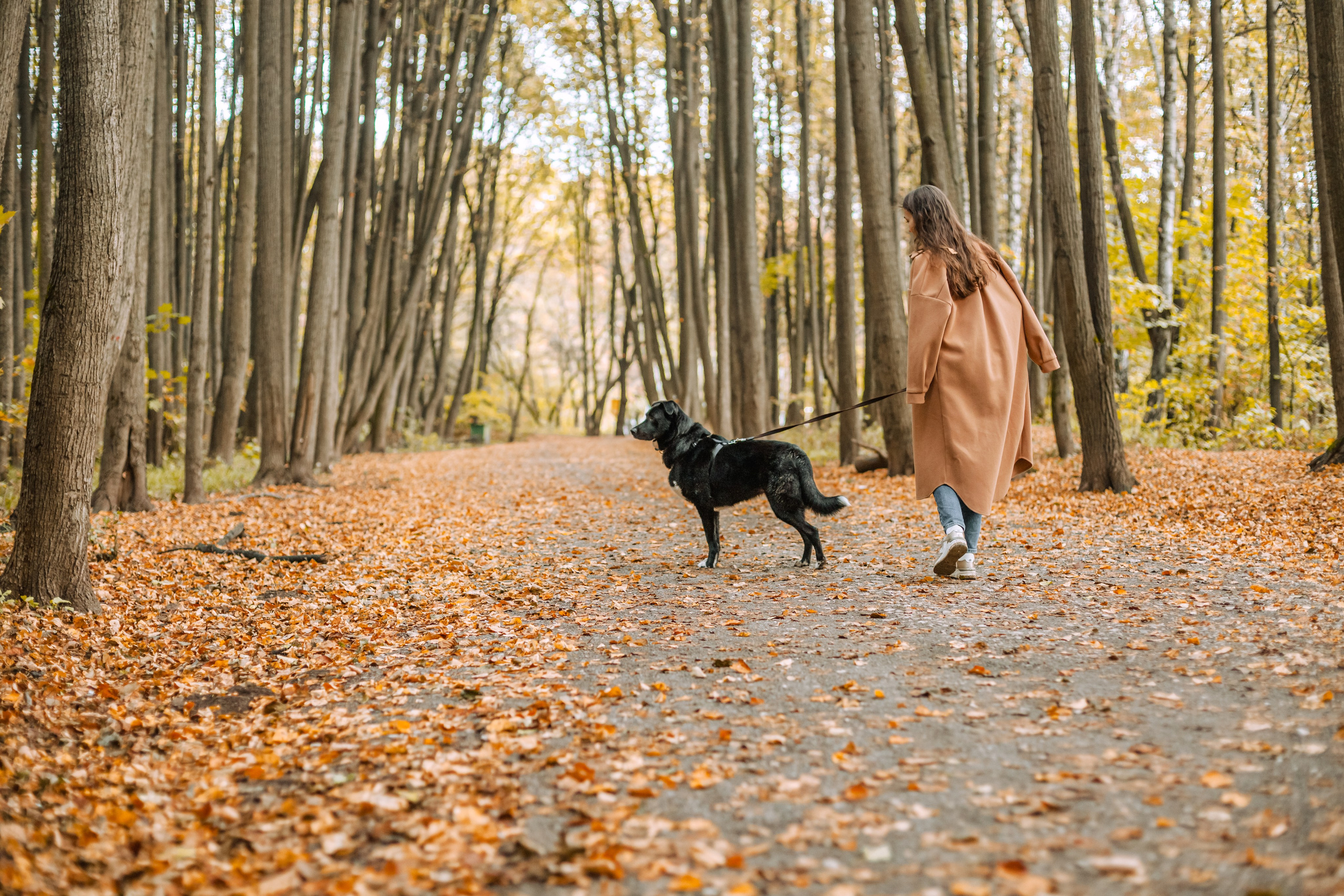 Юля и Фортуна. Фотограф-анималист Татьяна Степанова