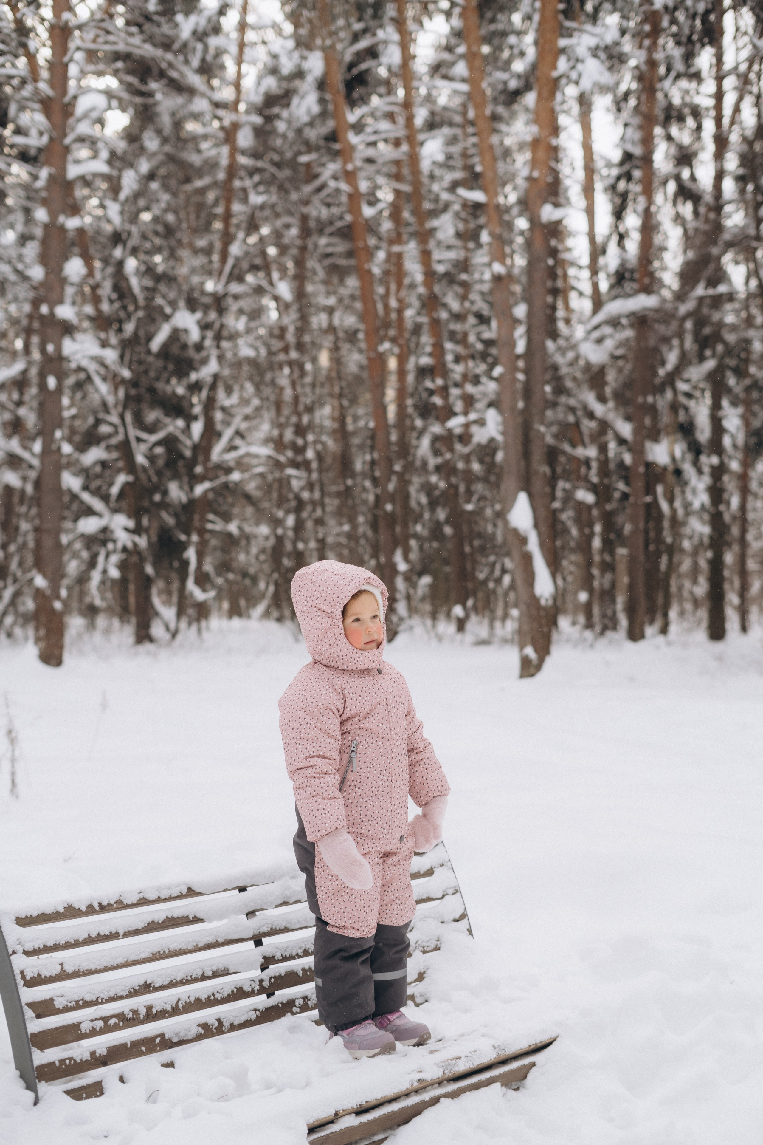 Зимняя прогулка. Фотограф Марина Котельникова