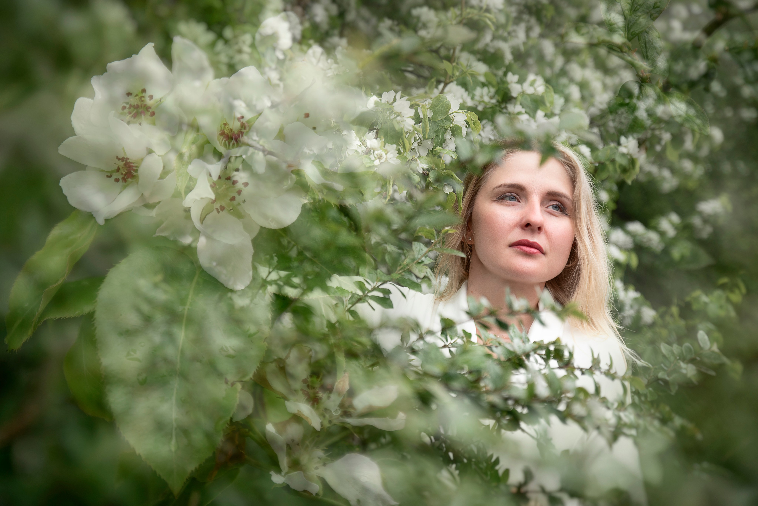 Белый шепот яблонь