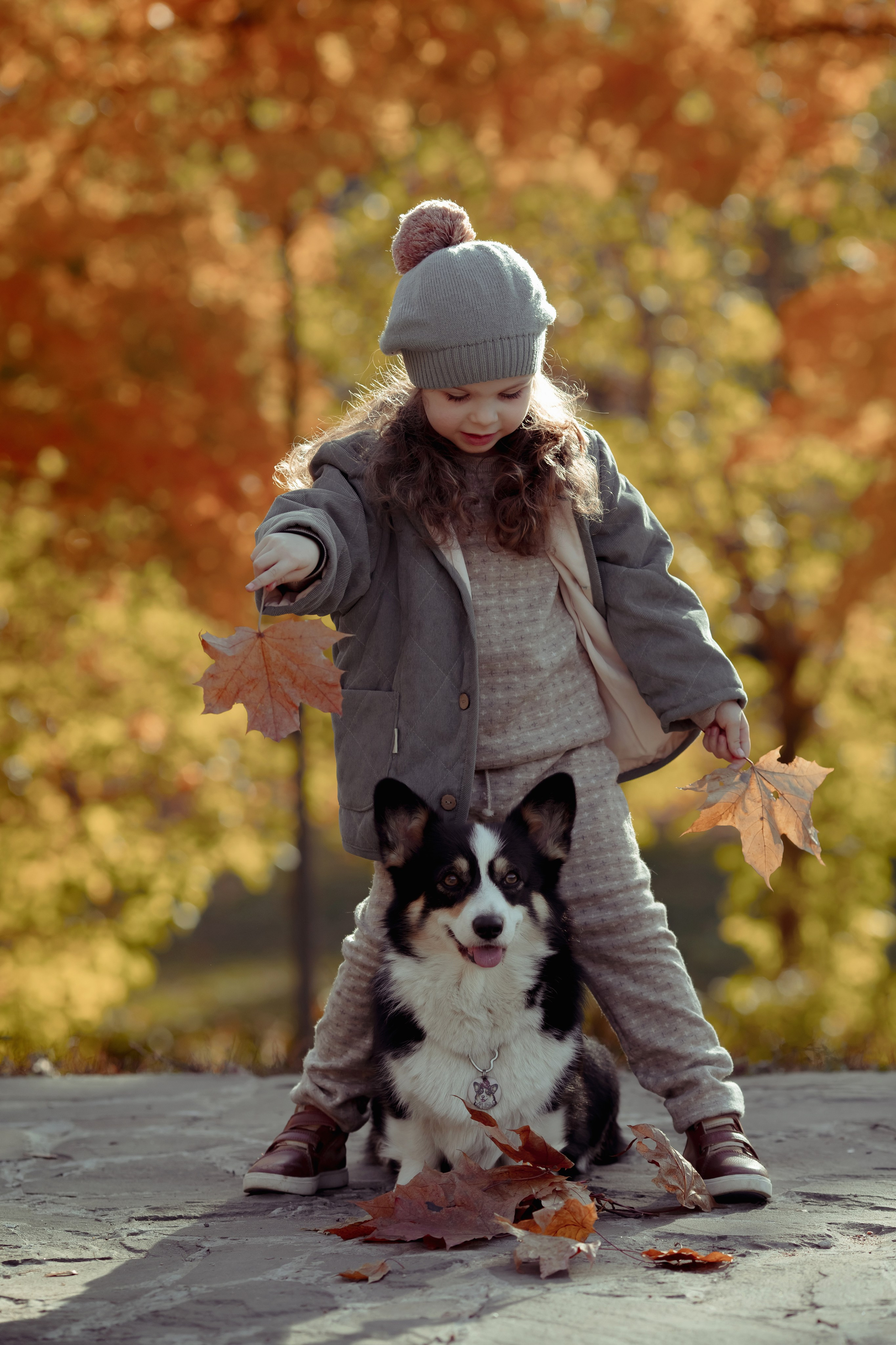 Эва с корги. Семейный и детский фотограф в Москве Дорогова Екатерина