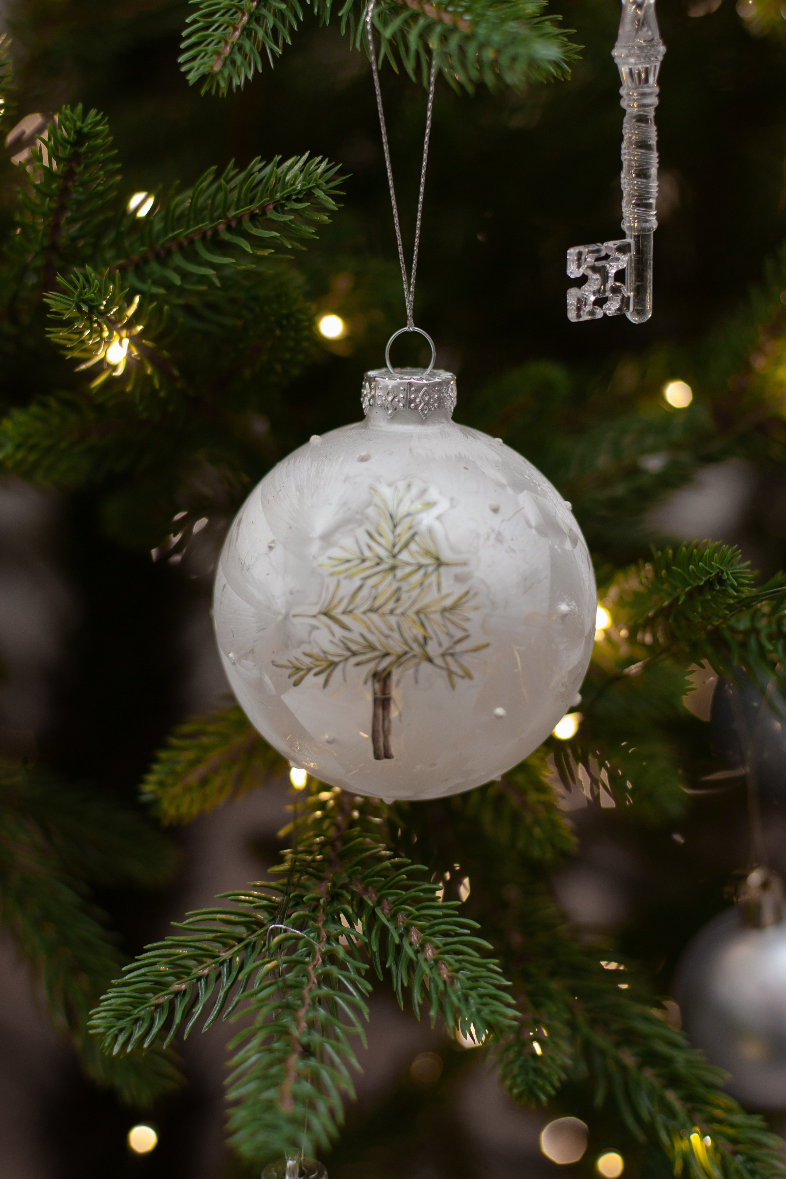 Домашняя. Фотограф в Томске Евгения Гуляева