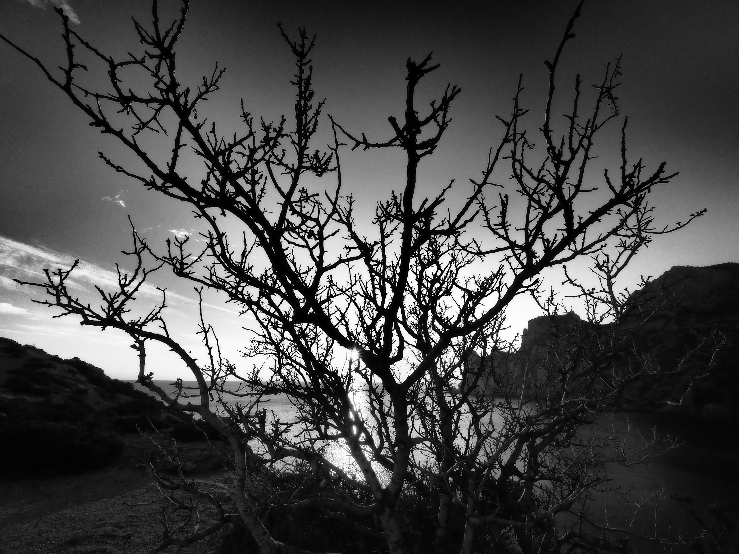 Хулиганизмы. Главная