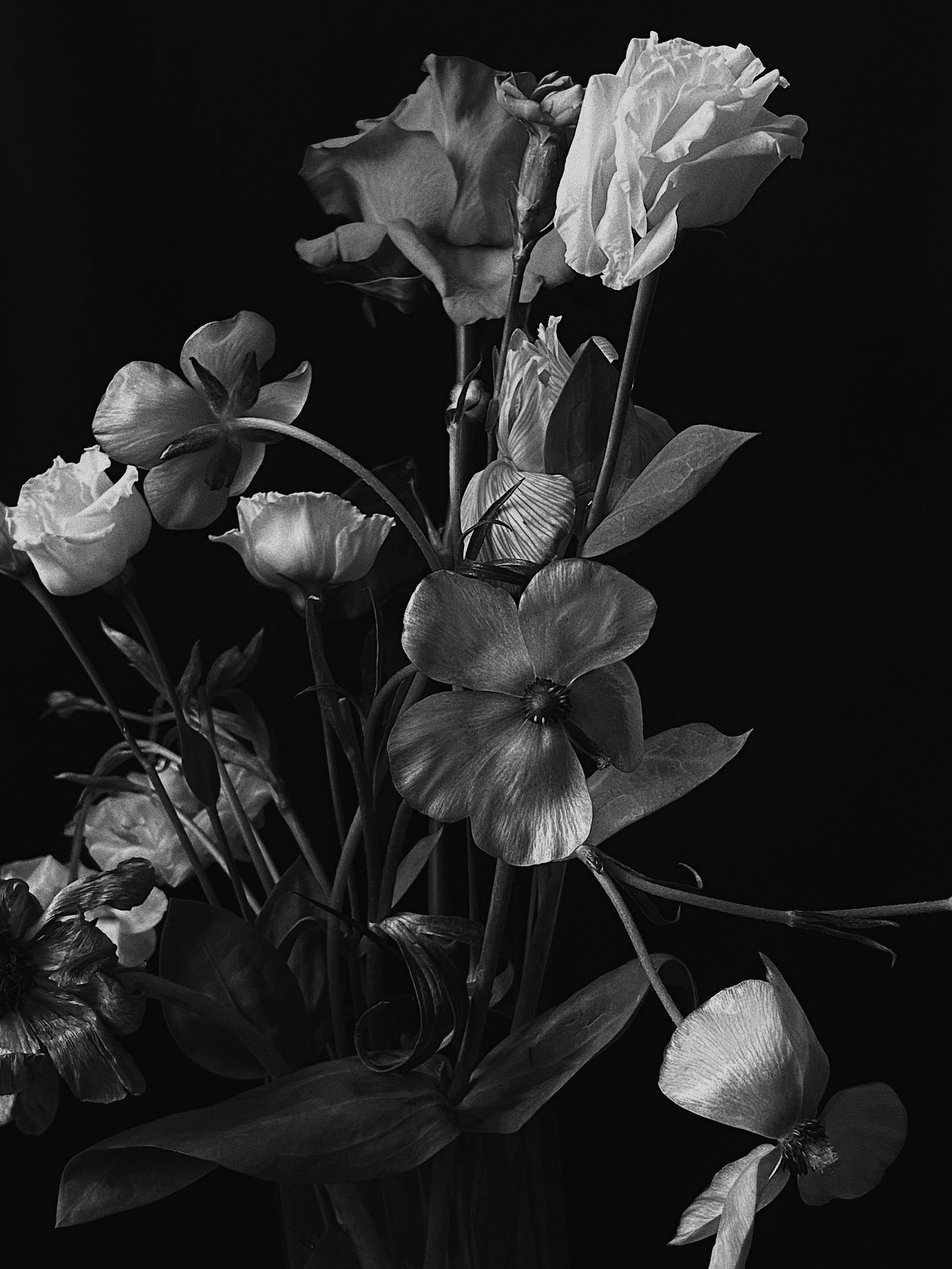 Интеллигентный фотограф