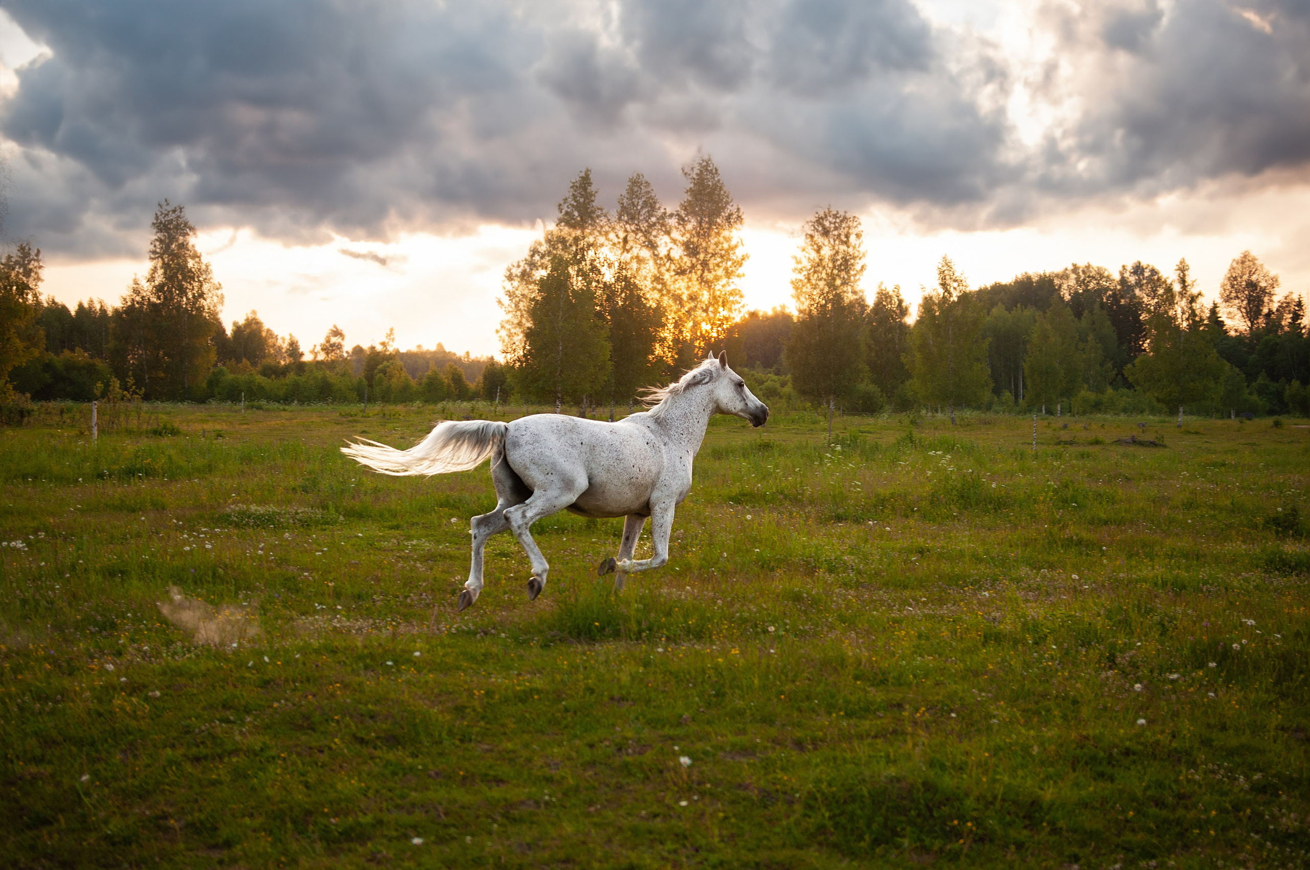 Даша и Персик