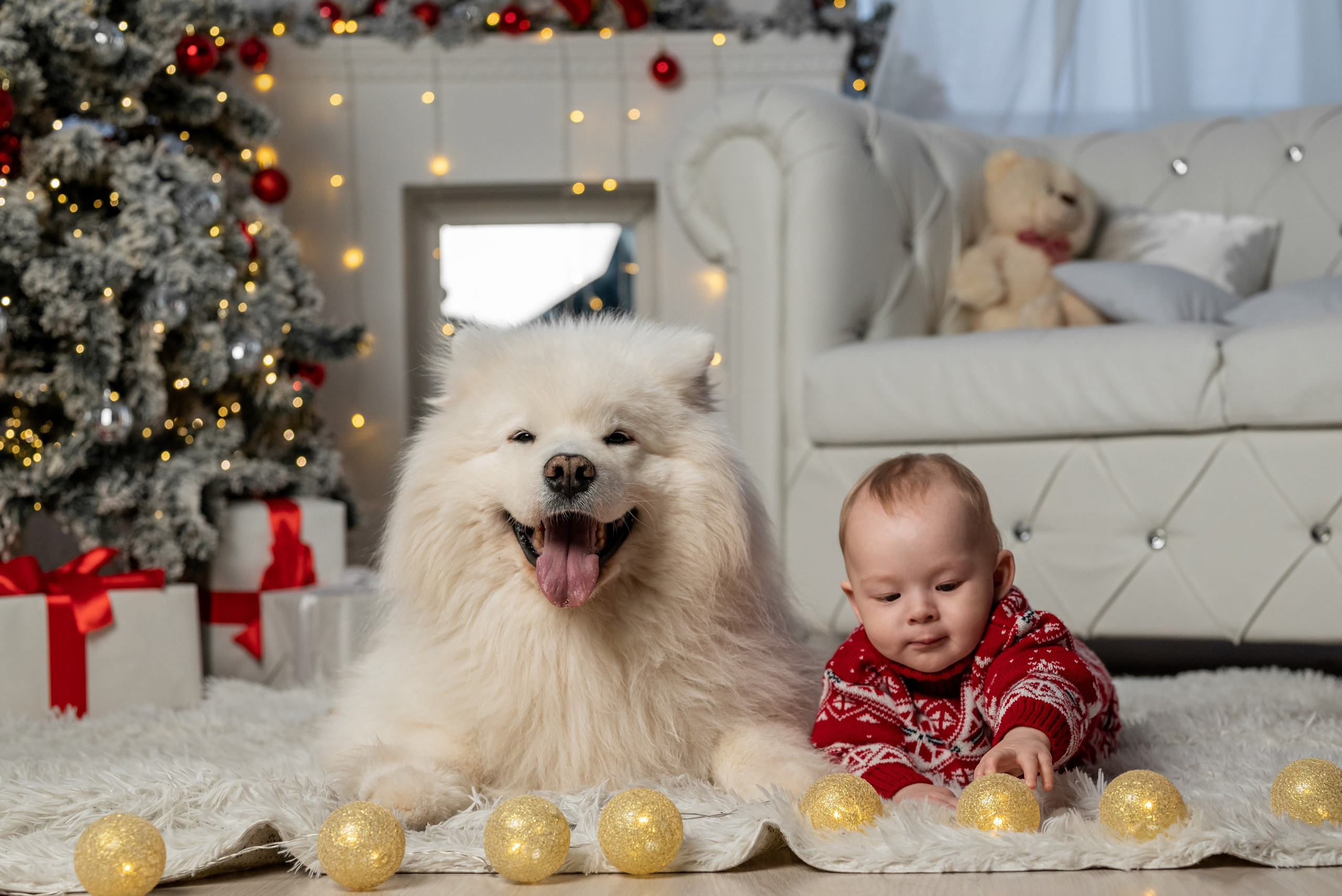 Фотопроект с Платоном 2024 г. Фотограф в городе Салават