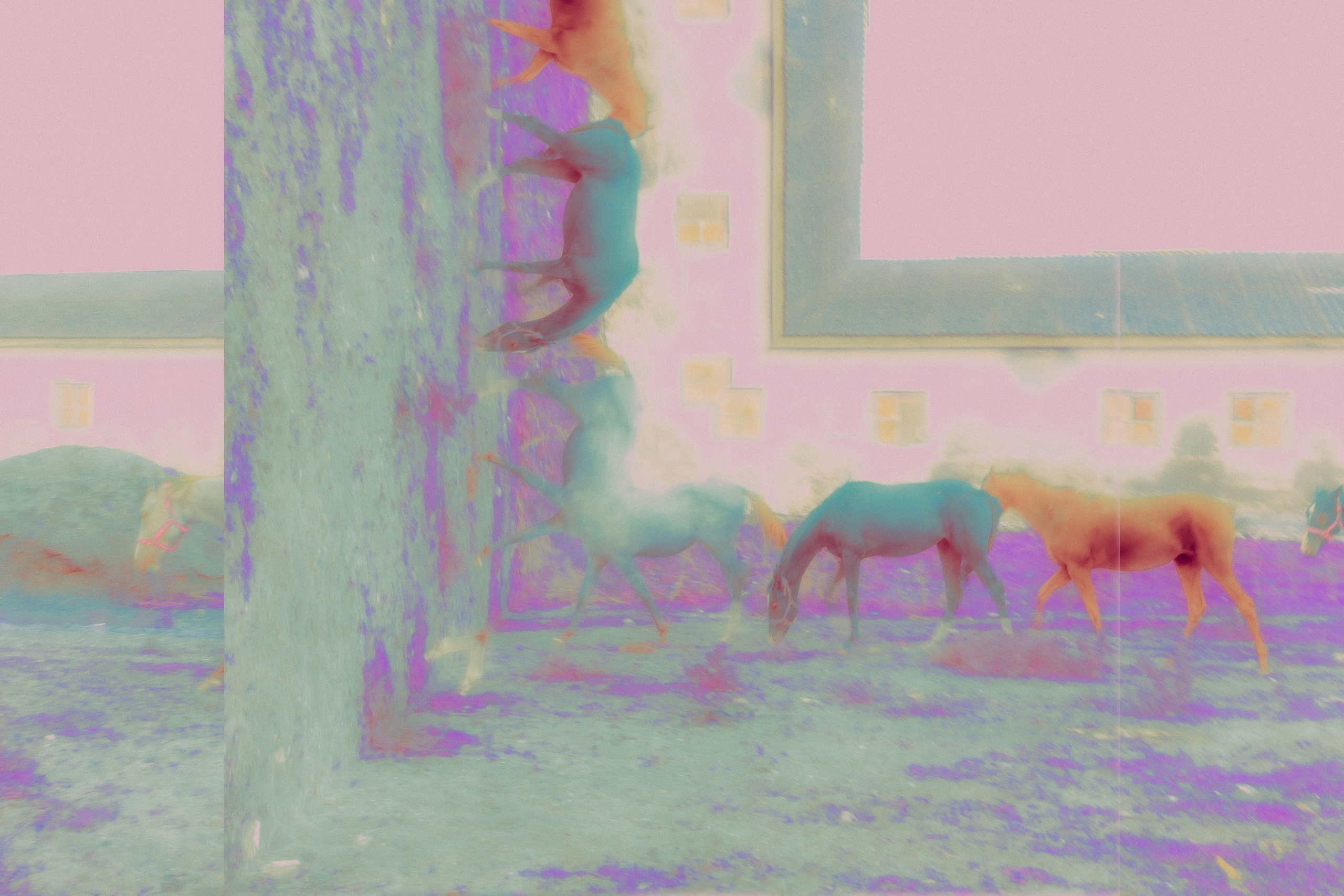 ХРАНИТЕЛИ. Визуальный артист Наташа Солнцева