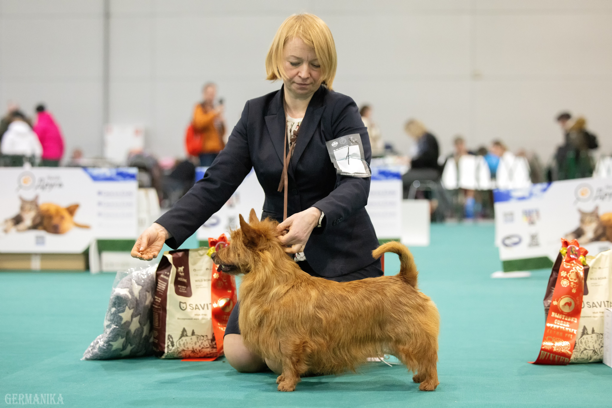 Крокус 10.02,Сфера 11.02.2024. Фотограф-анималист Юлия Германика