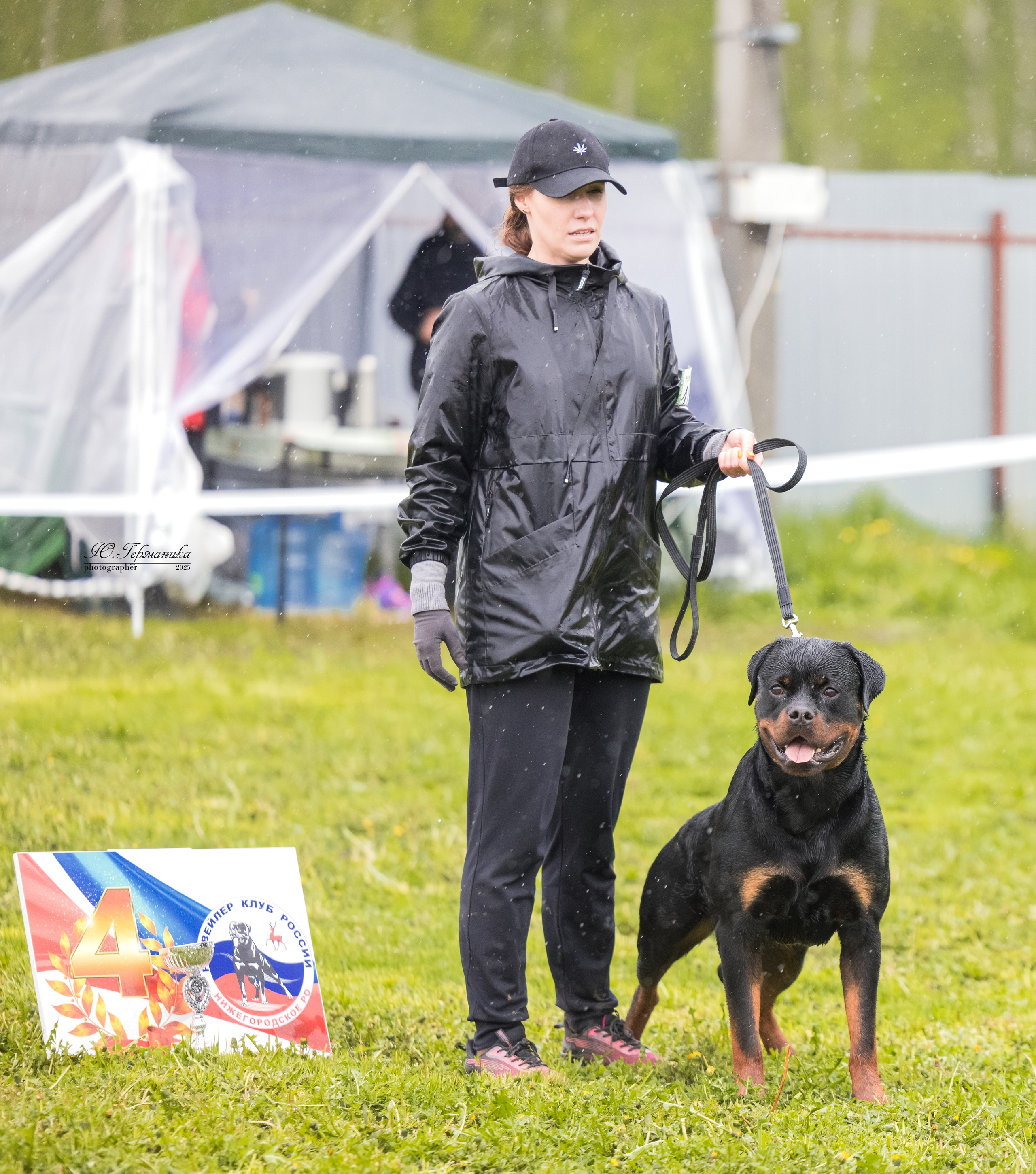 Нижний Новгород 2хмоно ротвейлеров 10-11.05.2025. Фотограф-анималист Юлия Германика