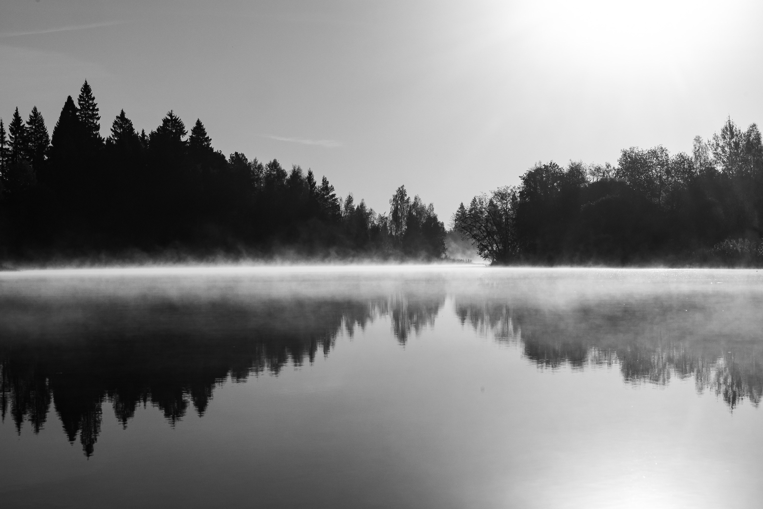 Природа. Фотограф Владимир Охрименко