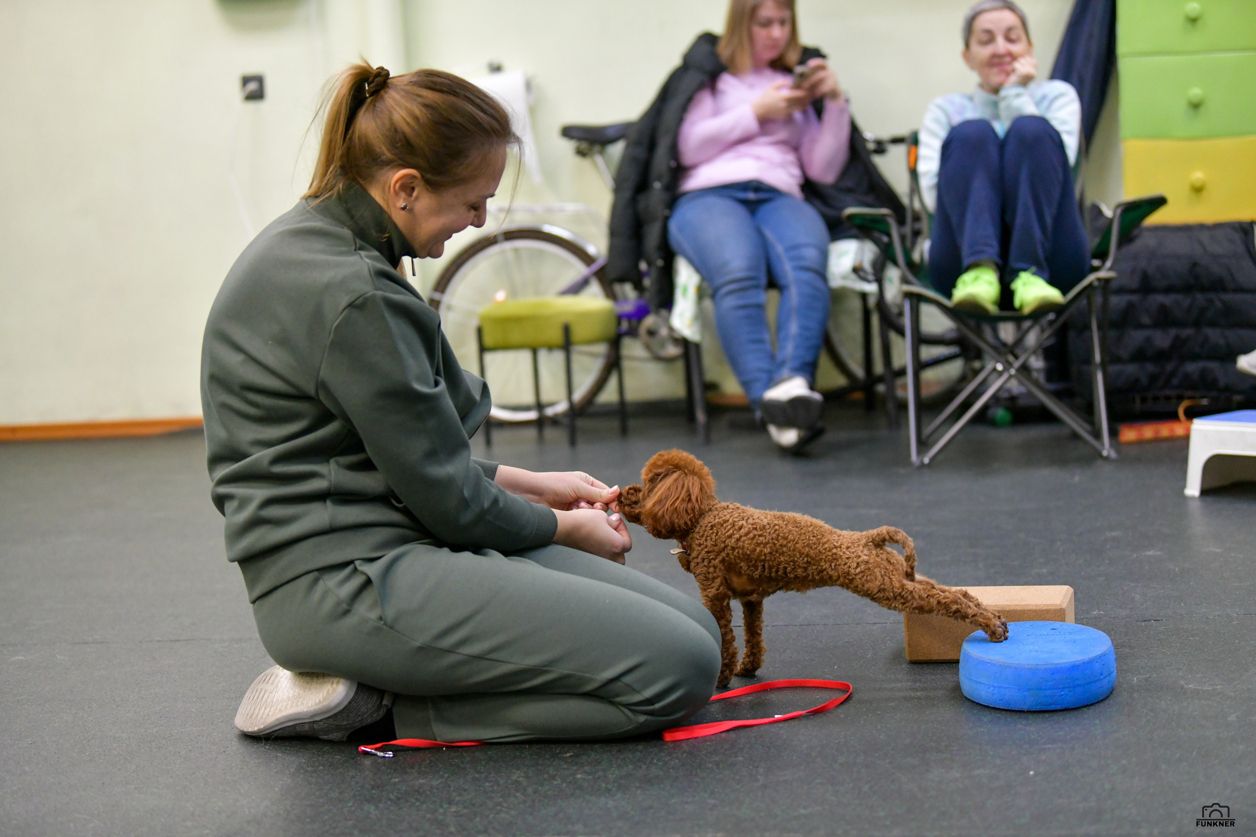 Кинологический клуб «Бодрый хвост». Свой взгляд через объектив