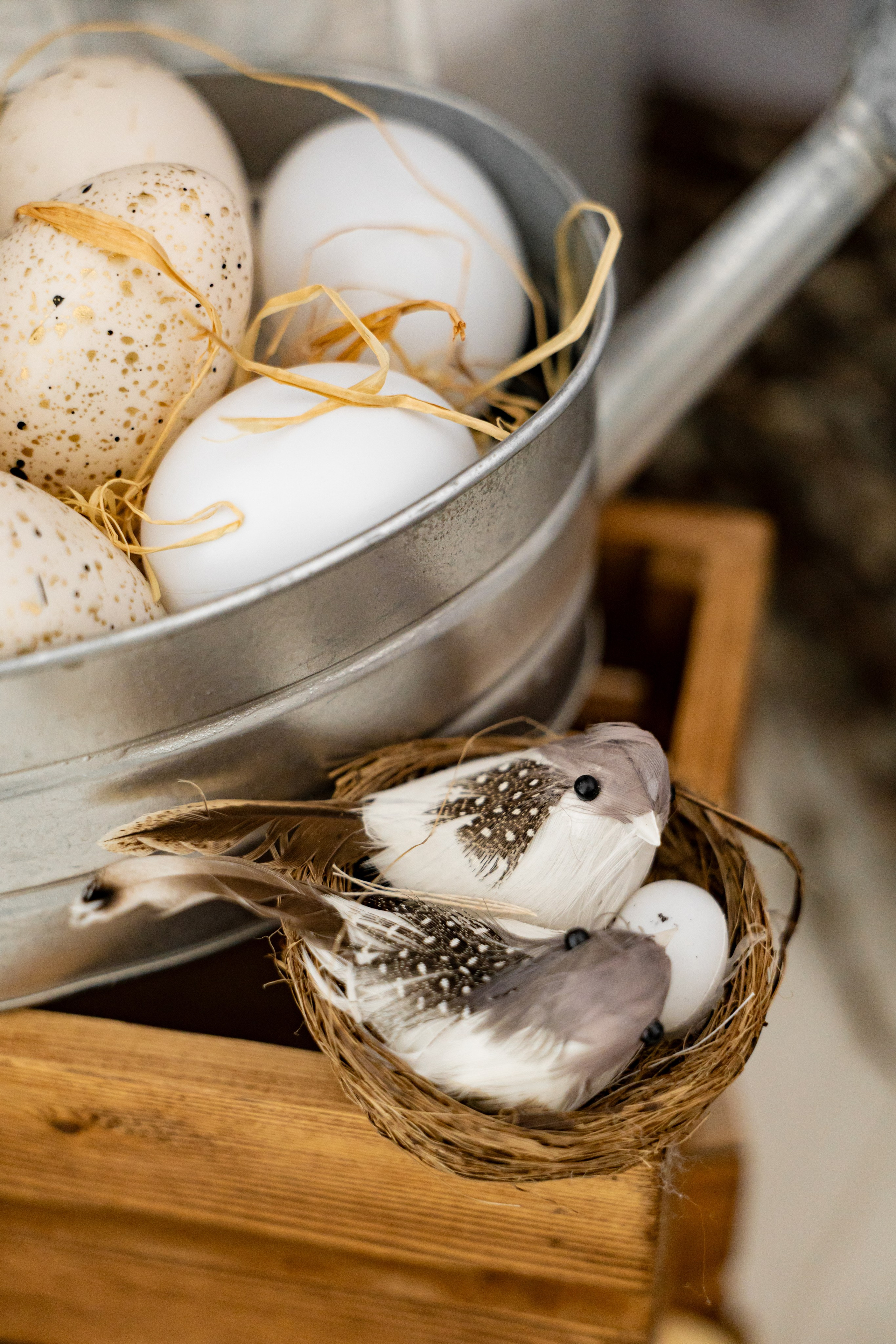 Фотосессия с цыплятами. Фотограф Белгород