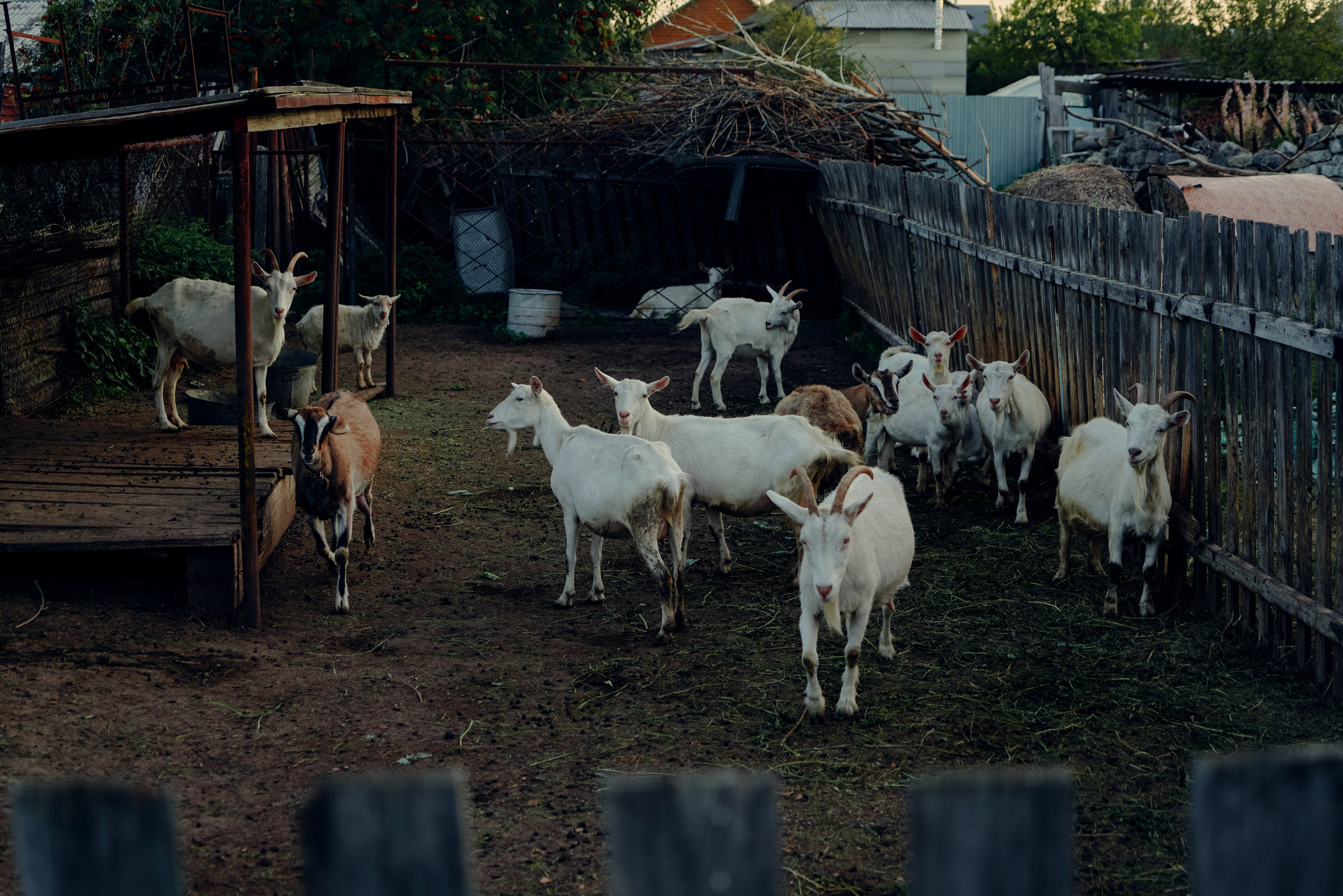 Сухой лог, Сентябрь 2023