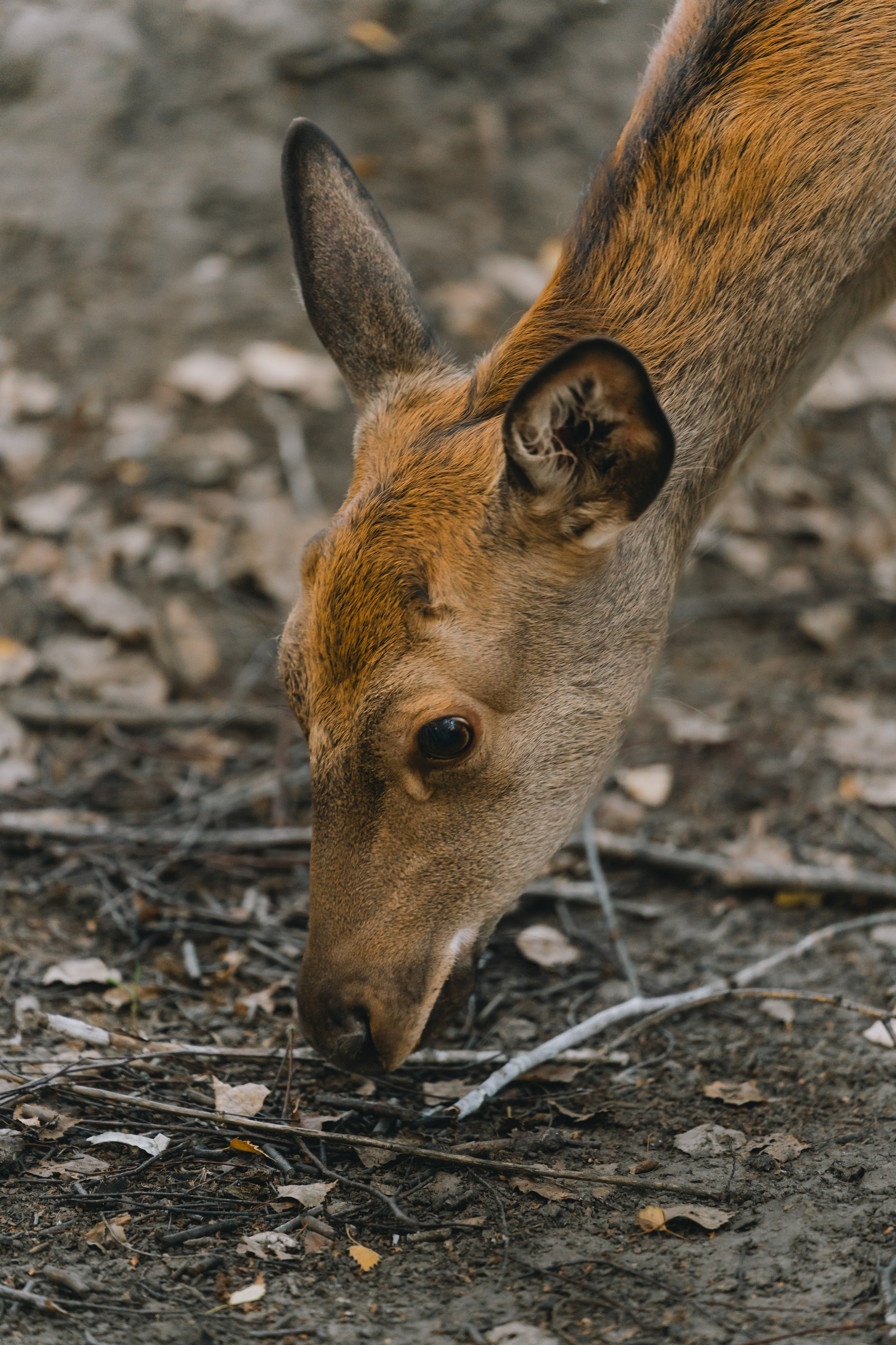 Усть-Каменогорск, Сентябрь 2024