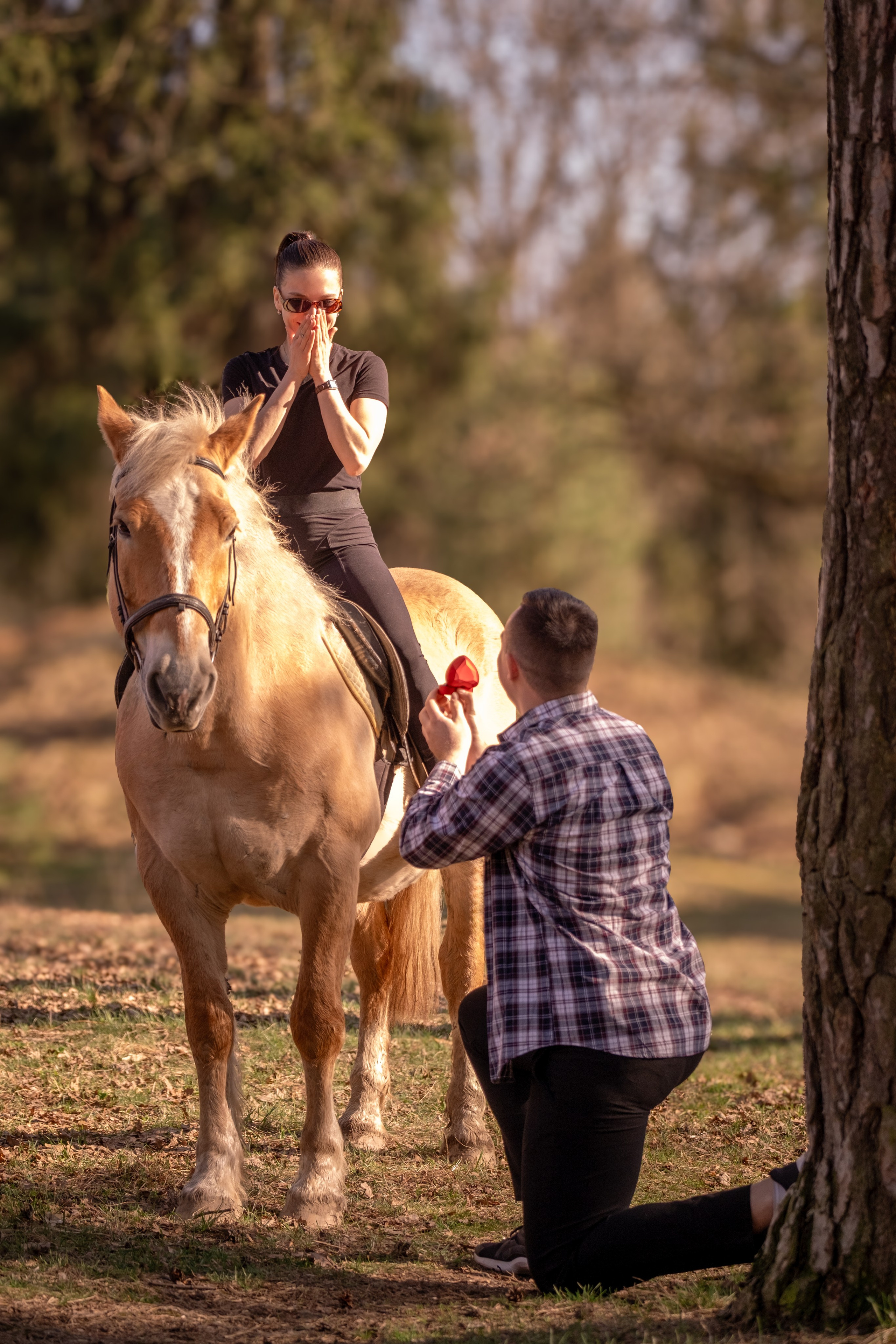 Он и Она. Зоофотограф, фотограф животных в Москве и области Дина Дамоцева